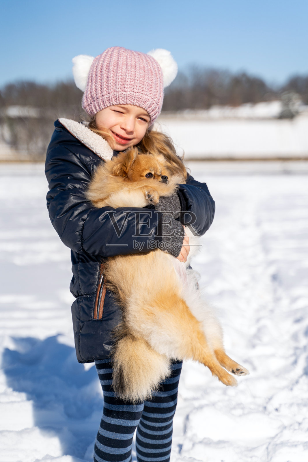 小女孩穿着暖和的衣服，手牵着手，拥抱着博美犬斯皮兹照片摄影图片