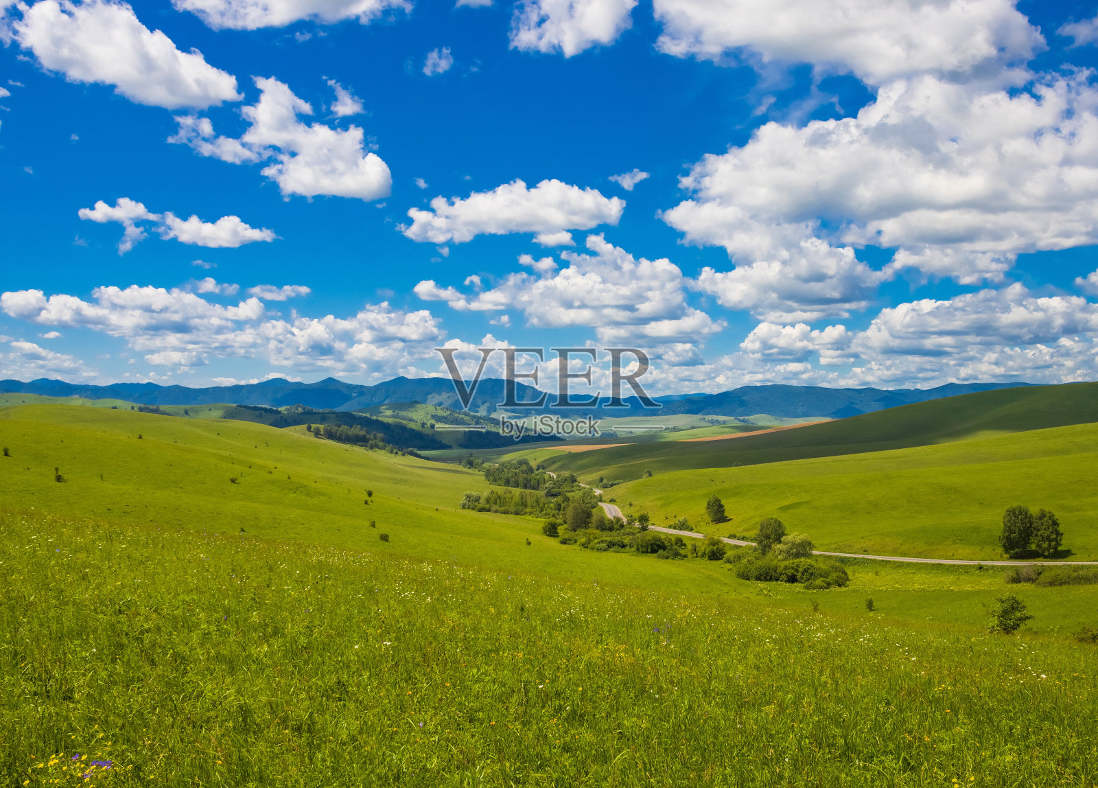 夏天山麓景观。碧绿的草地，蓝天白云。阿尔泰。照片摄影图片