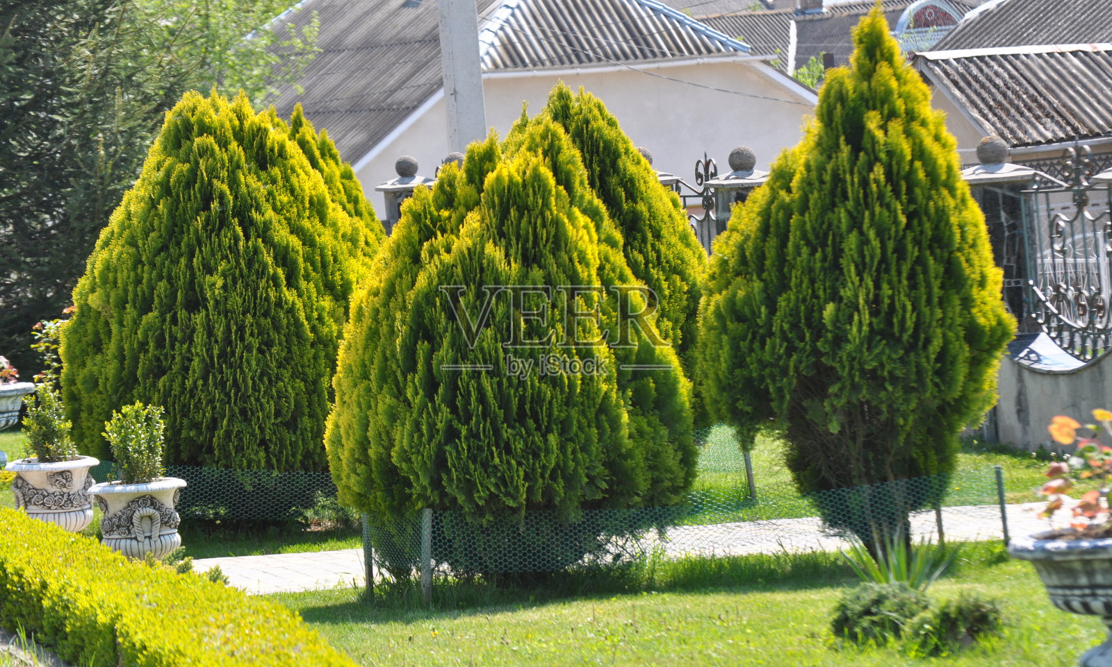 园林、公园、广场、休闲场所的园林绿化设计照片摄影图片