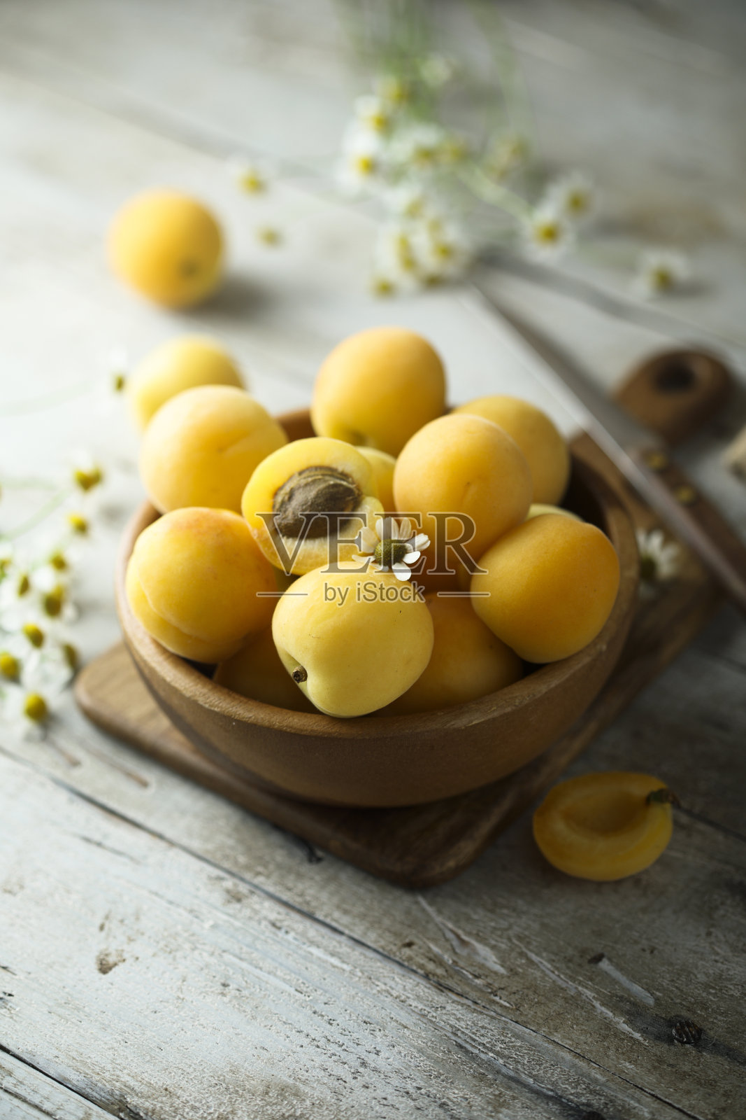 杏子照片摄影图片