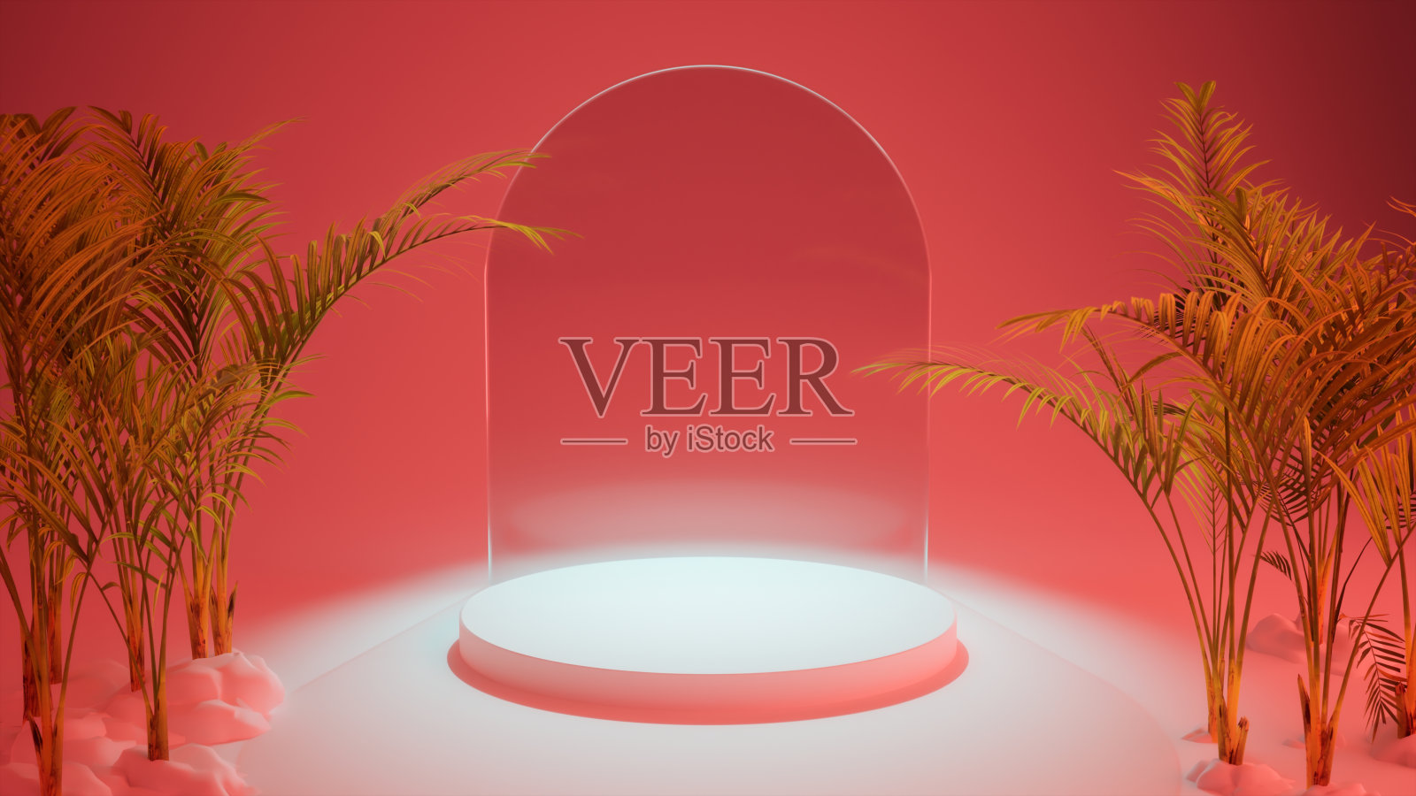 复制空间梯度彩色背景热带植物叶子照片摄影图片