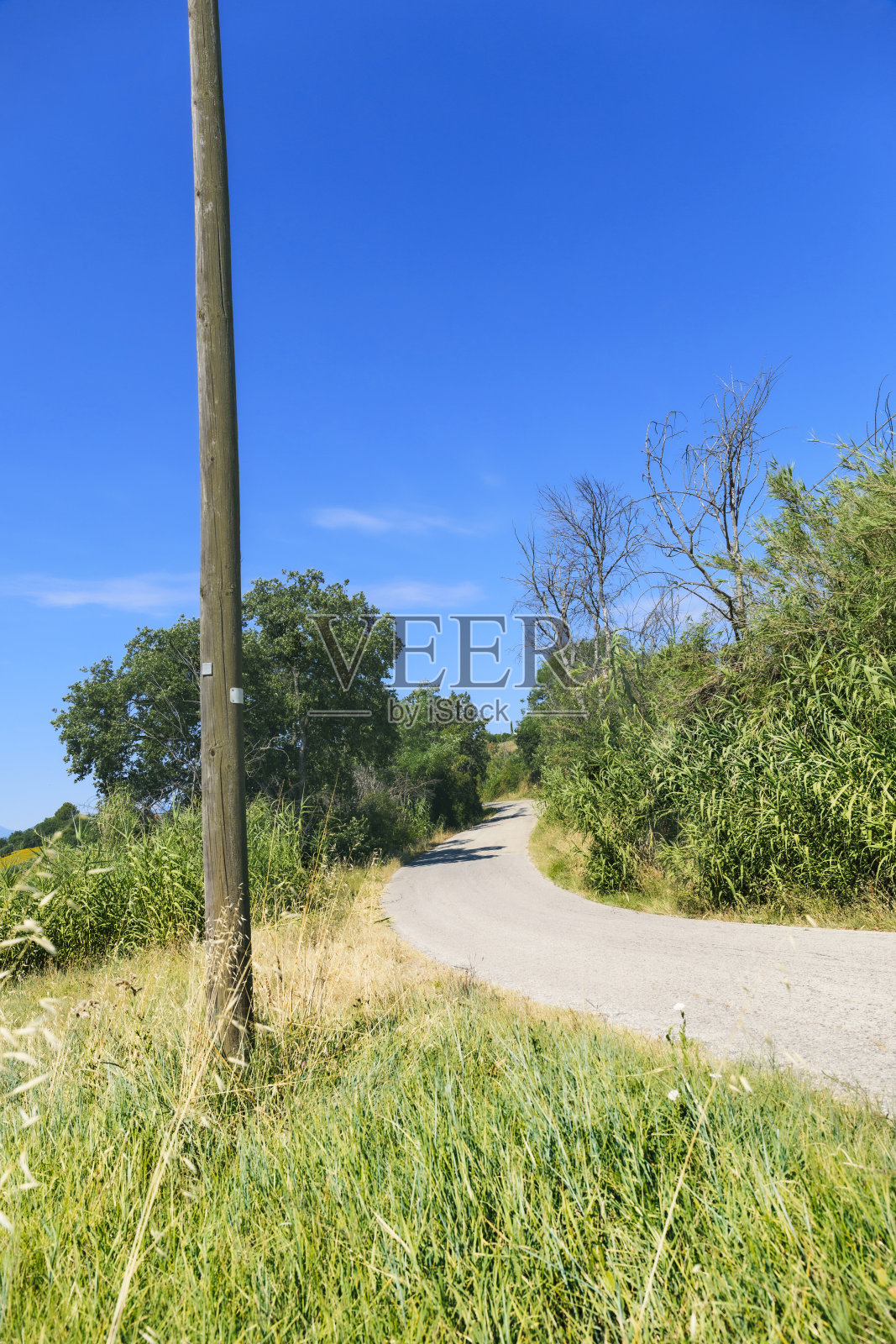 美丽的乡村景色，夏日照片摄影图片