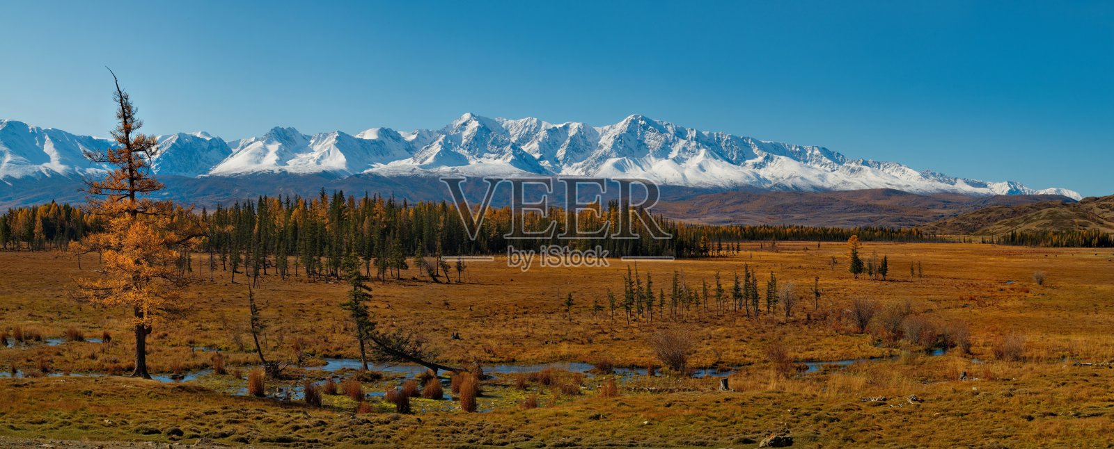 秋高气爽的阿尔泰山照片摄影图片