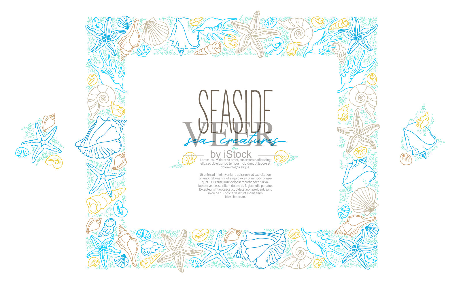 矢量正方形框架，线条艺术的边界热带海洋元素，贝壳，海星。A4页面大小。海洋生物的涂鸦。用于海牌装饰、装饰、设计。海上插图插画图片素材