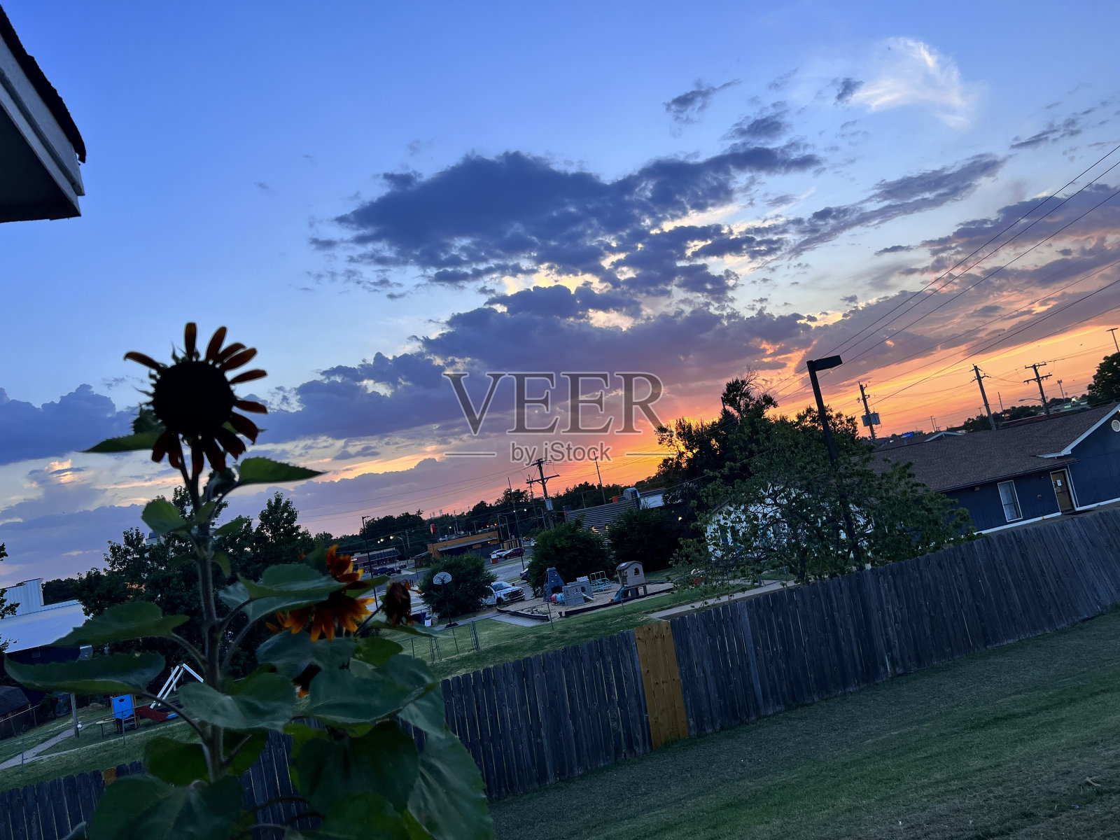 我星期五日落照片摄影图片