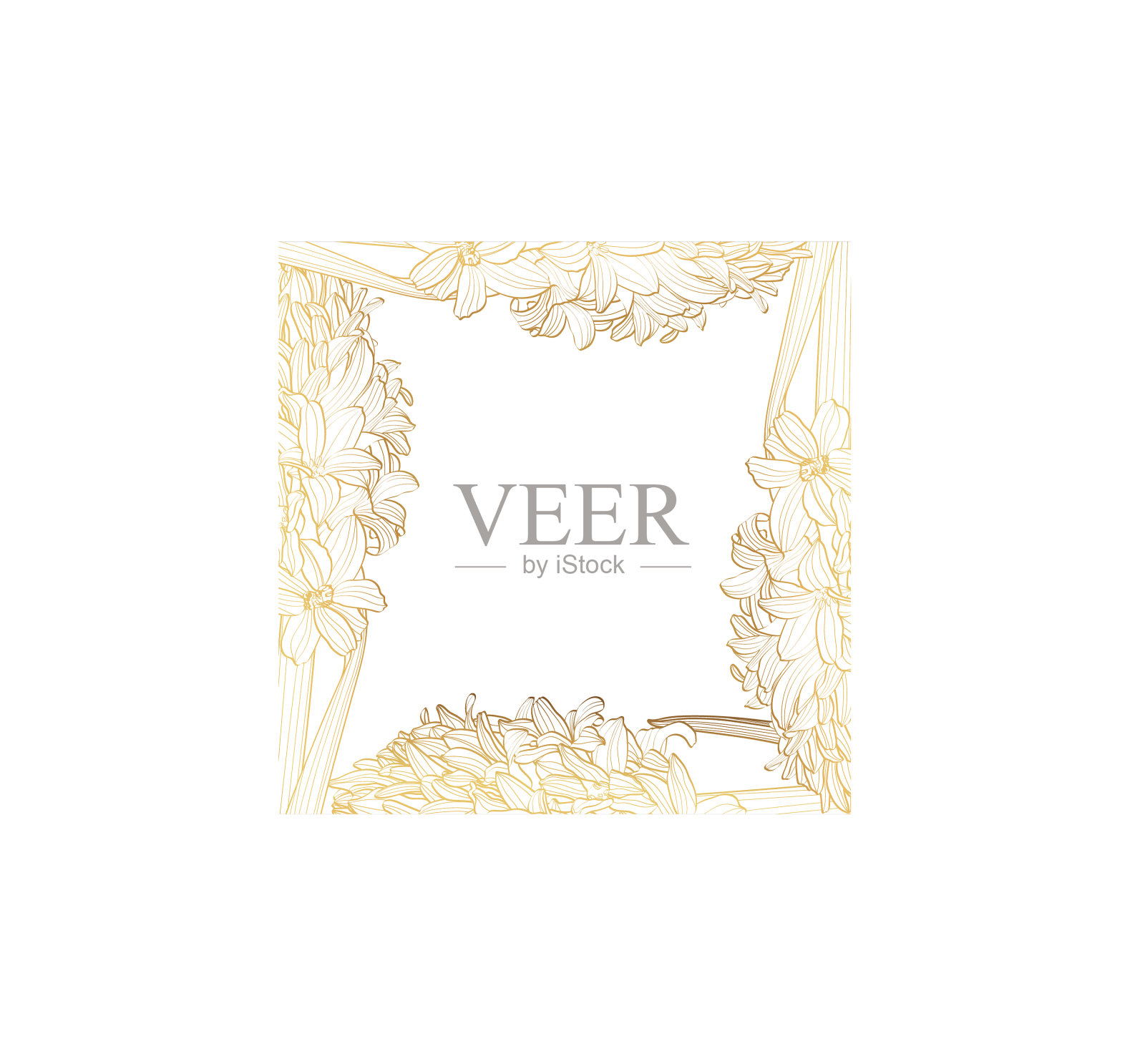 框架图形线性金色风信子插画图片素材