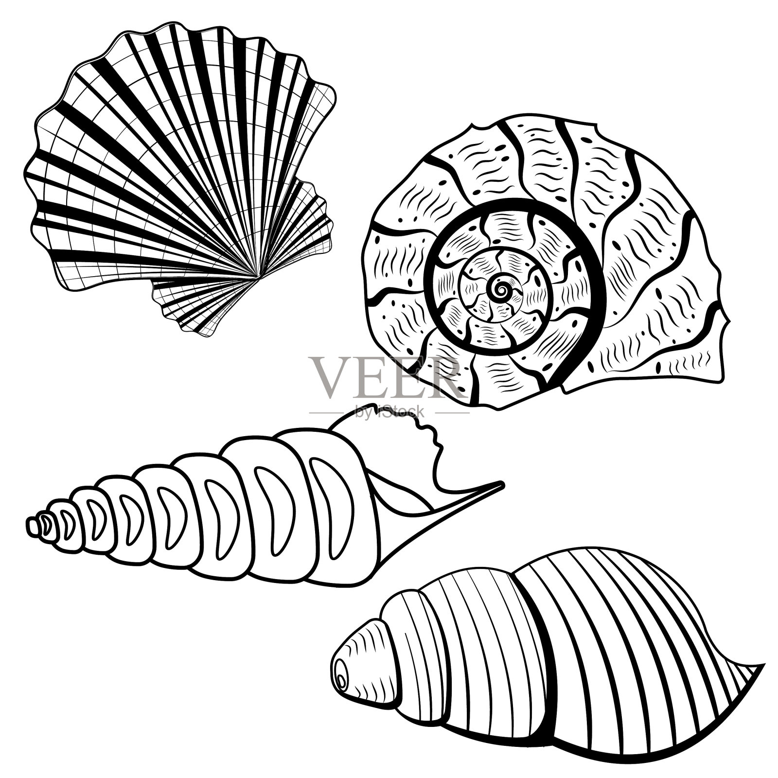 一套海贝黑色轮廓线涂鸦插画图片素材