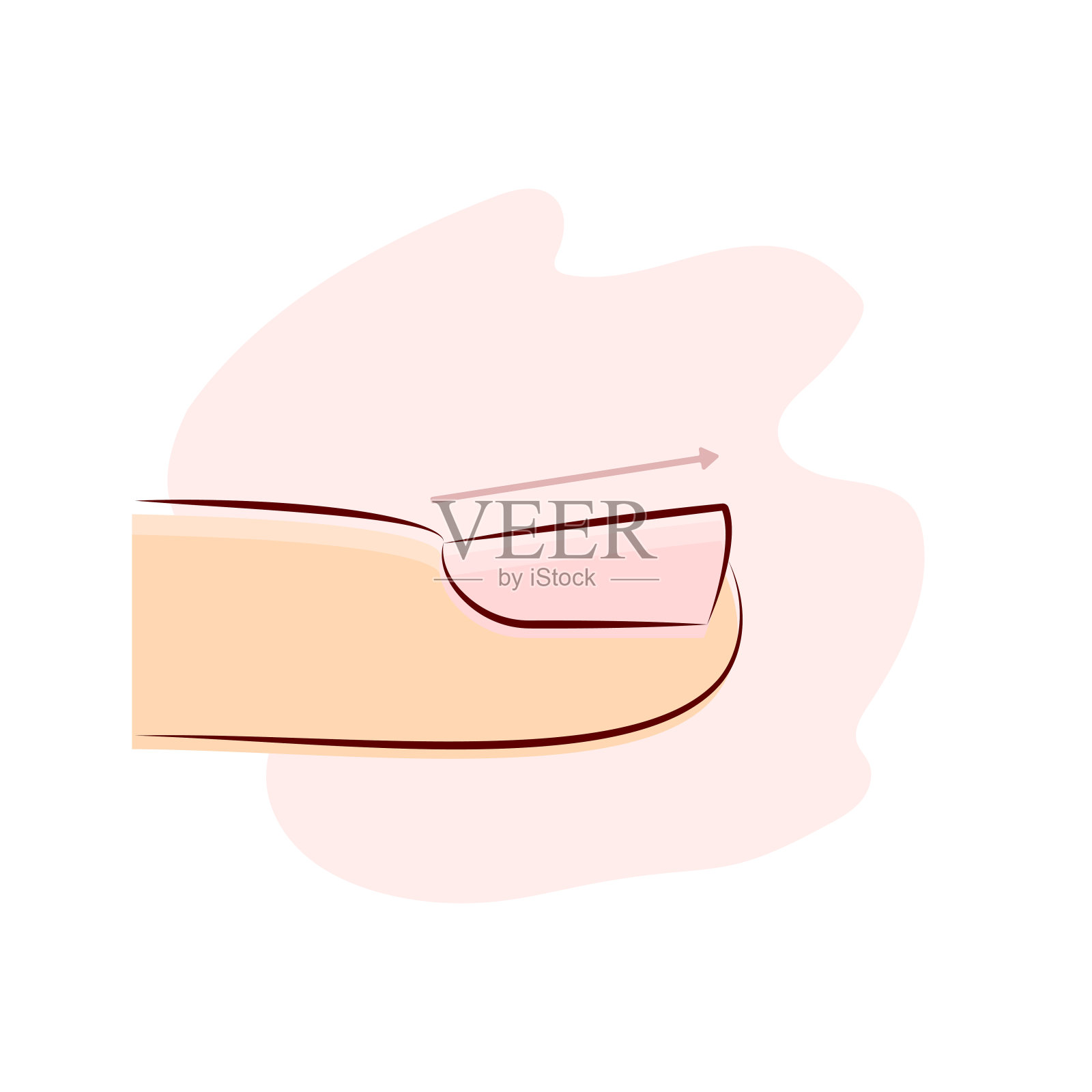 指甲板凹型，指甲生长方向，向上生长，矢量插图插画图片素材