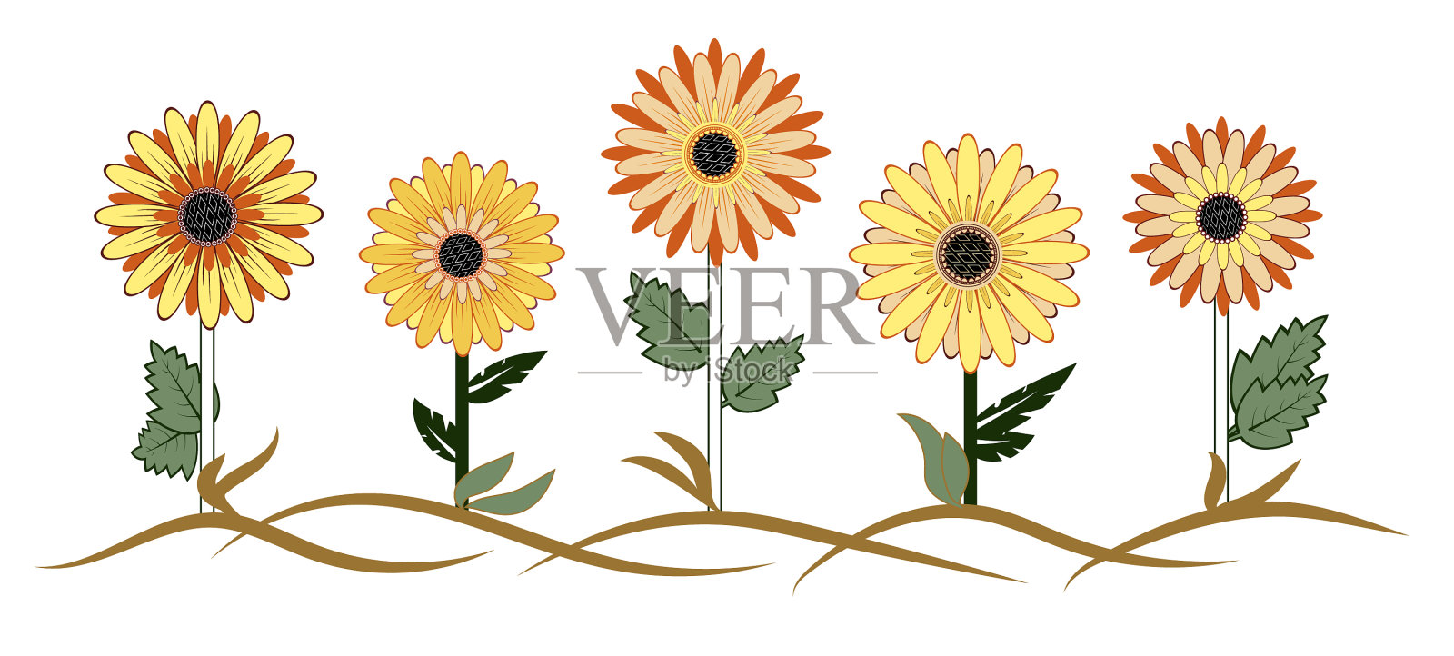 抽象的彩色向日葵在白色设计元素图片