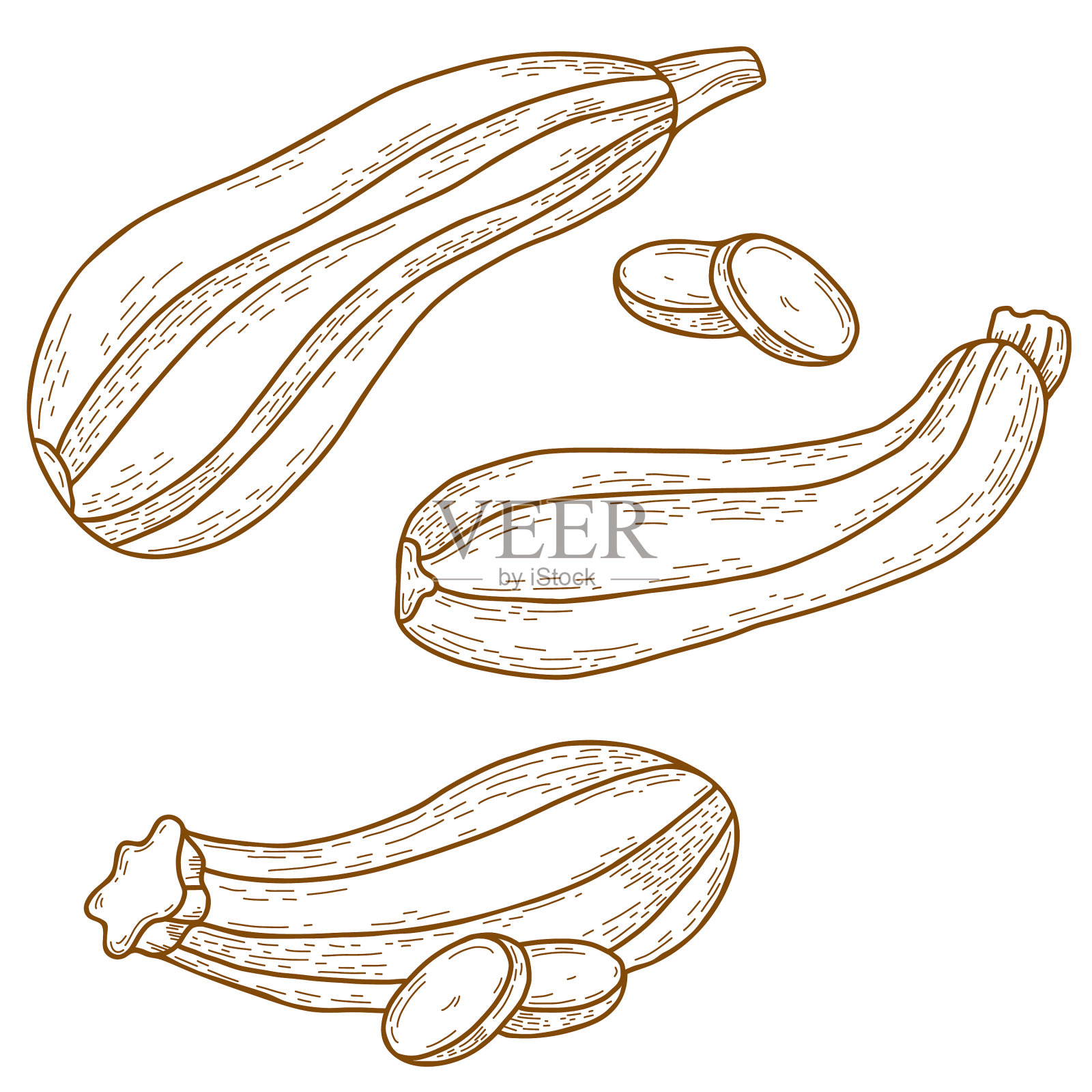 收集蔬菜西葫芦长条形西葫芦设计元素图片