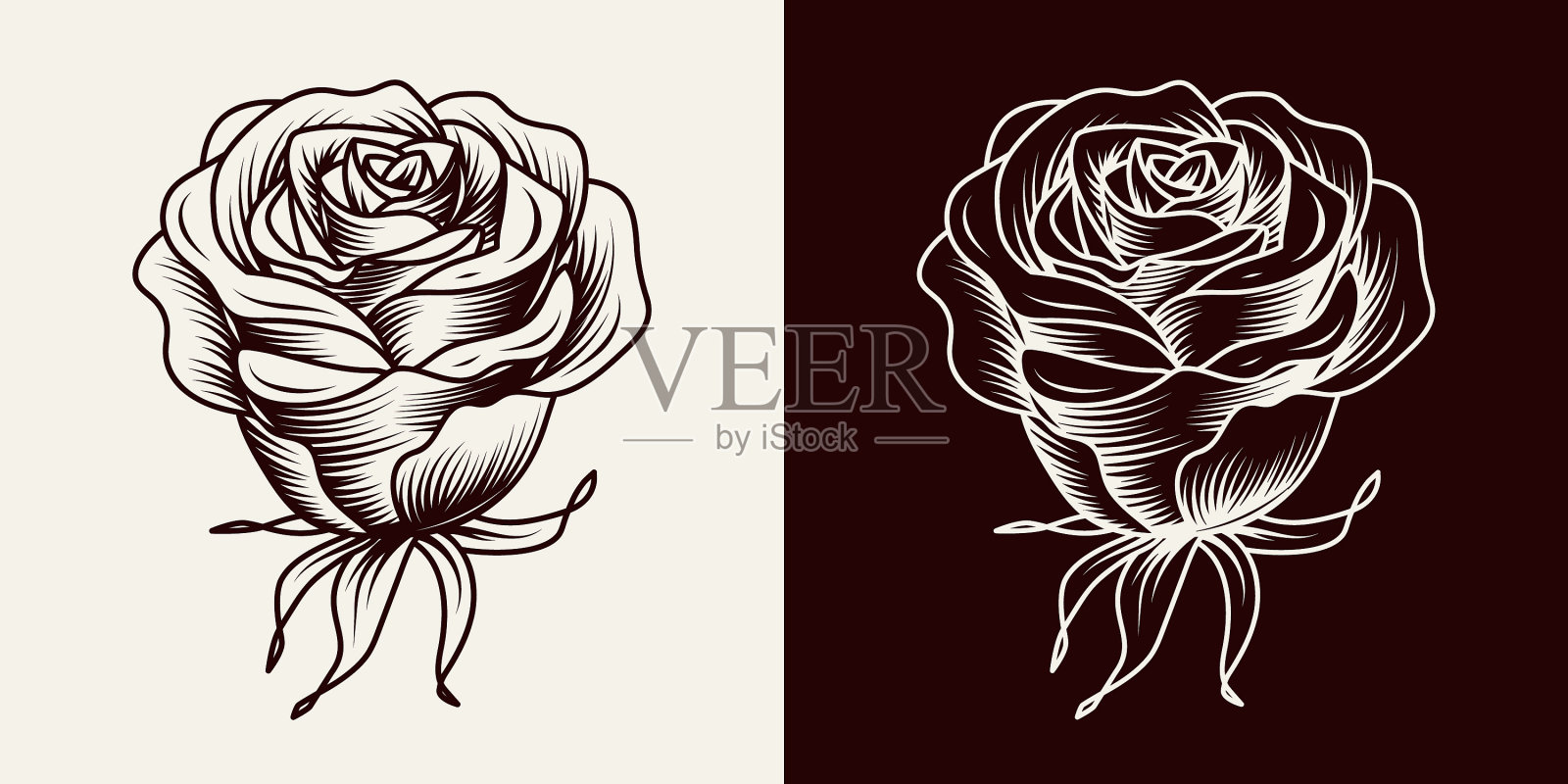 复古盛开的玫瑰雕刻风格插画图片素材