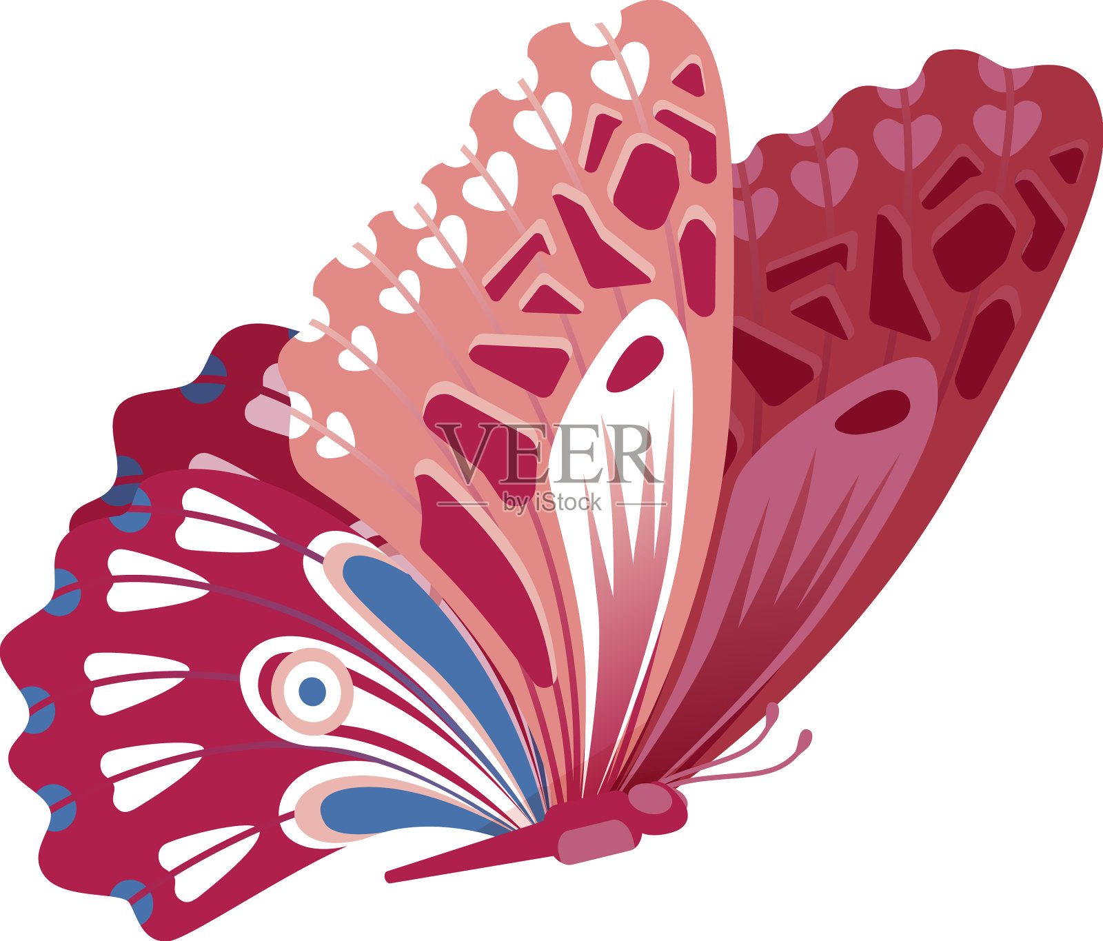 会飞的蝴蝶，装饰性的有翅昆虫设计元素图片