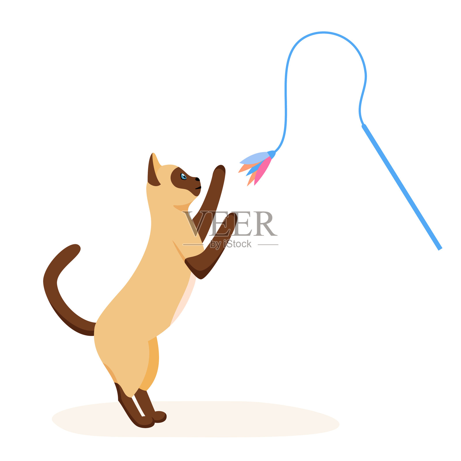 暹罗猫玩羽毛玩具魔杖游戏插画图片素材