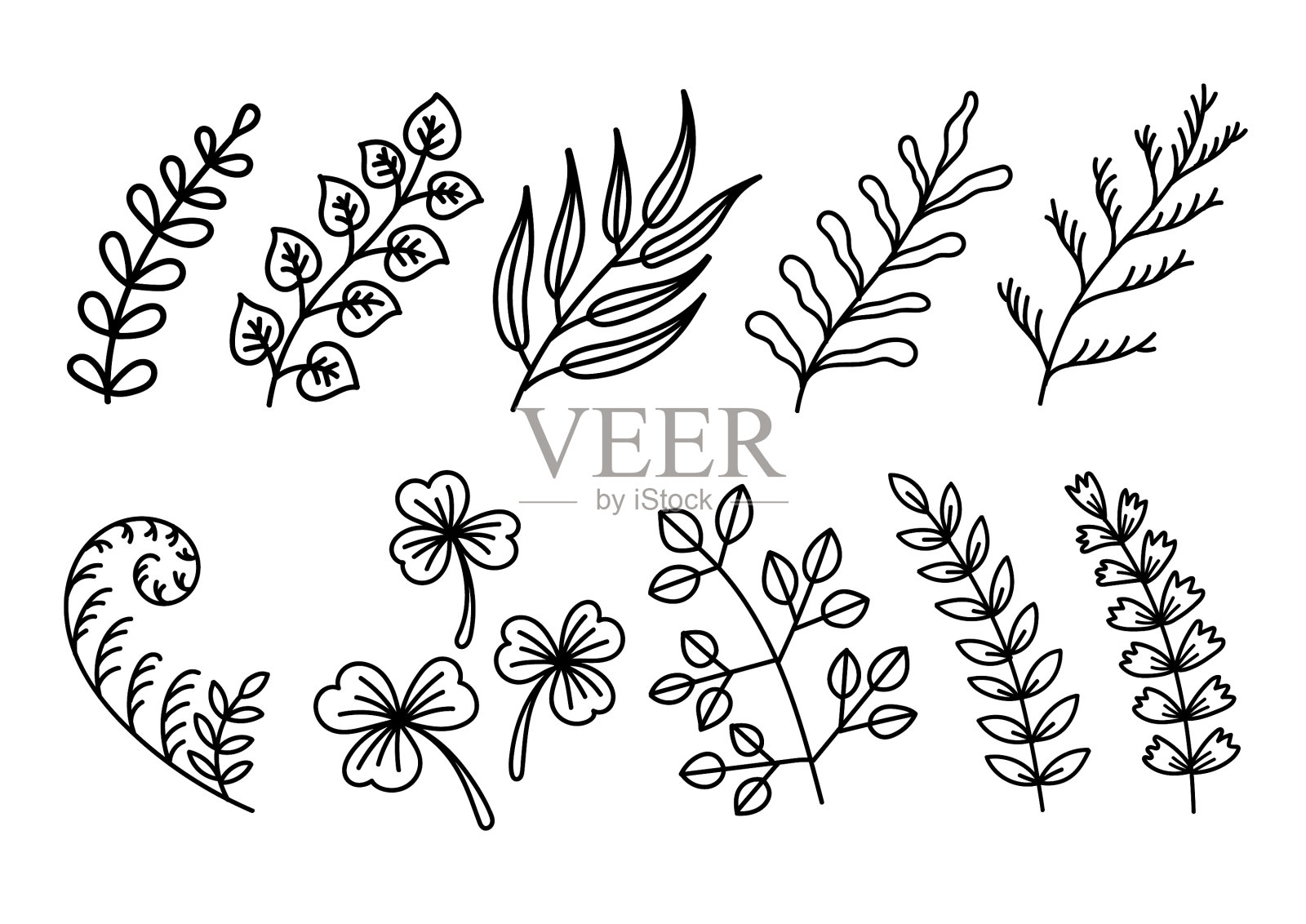 徒手手绘植物叶子涂鸦集插画图片素材