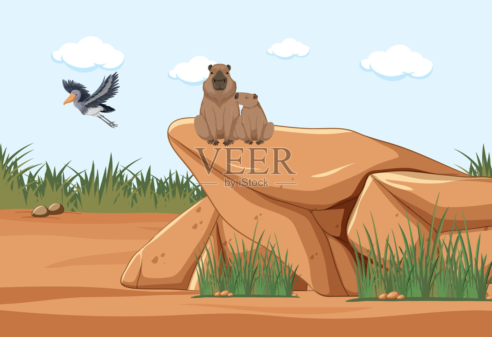 有水豚和鞋嘴鹳的干燥景观插画图片素材