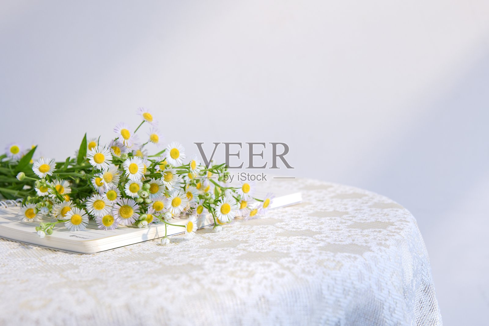 白色洋甘菊花束放在记事本上的圆桌上，复印空间照片摄影图片