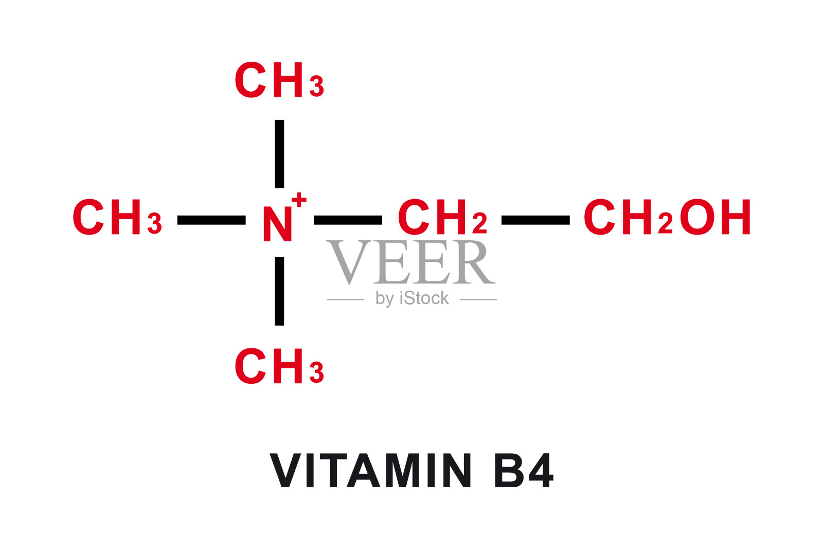 维生素B4的化学配方。维生素B4的化学分子结构。矢量图插画图片素材