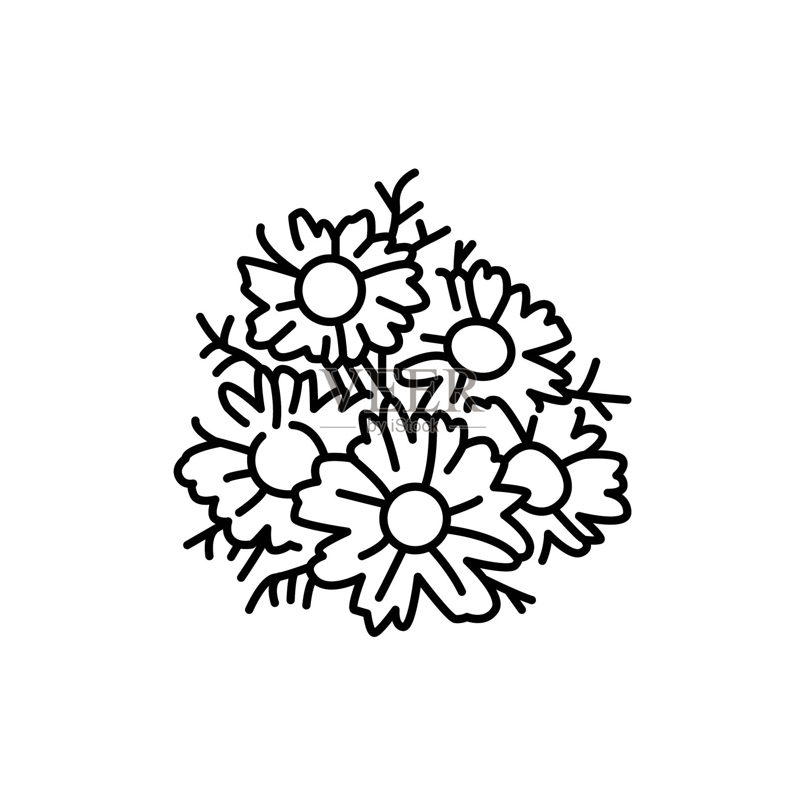 洋甘菊植物色线为网图图标设计元素图片