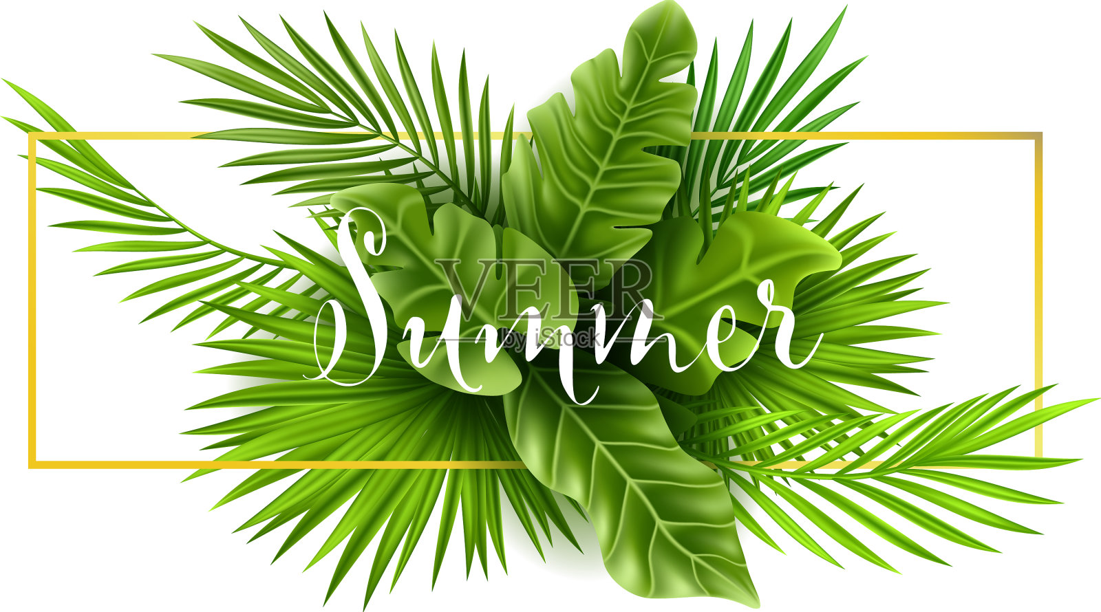 热带棕榈叶孤立在白色背景设计元素图片