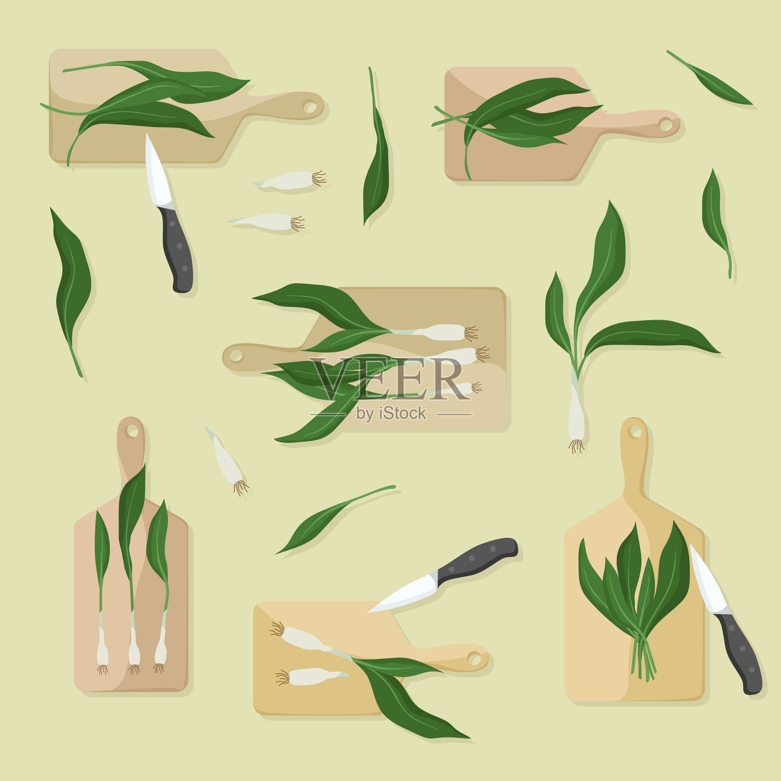 减少野生大蒜插画图片素材