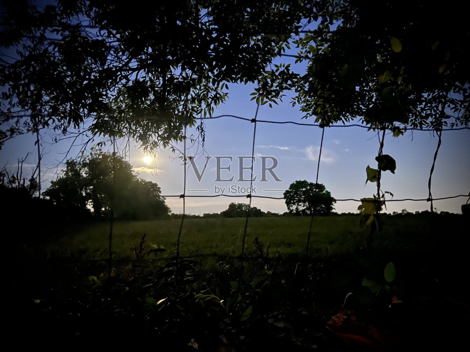 县集市照片摄影图片