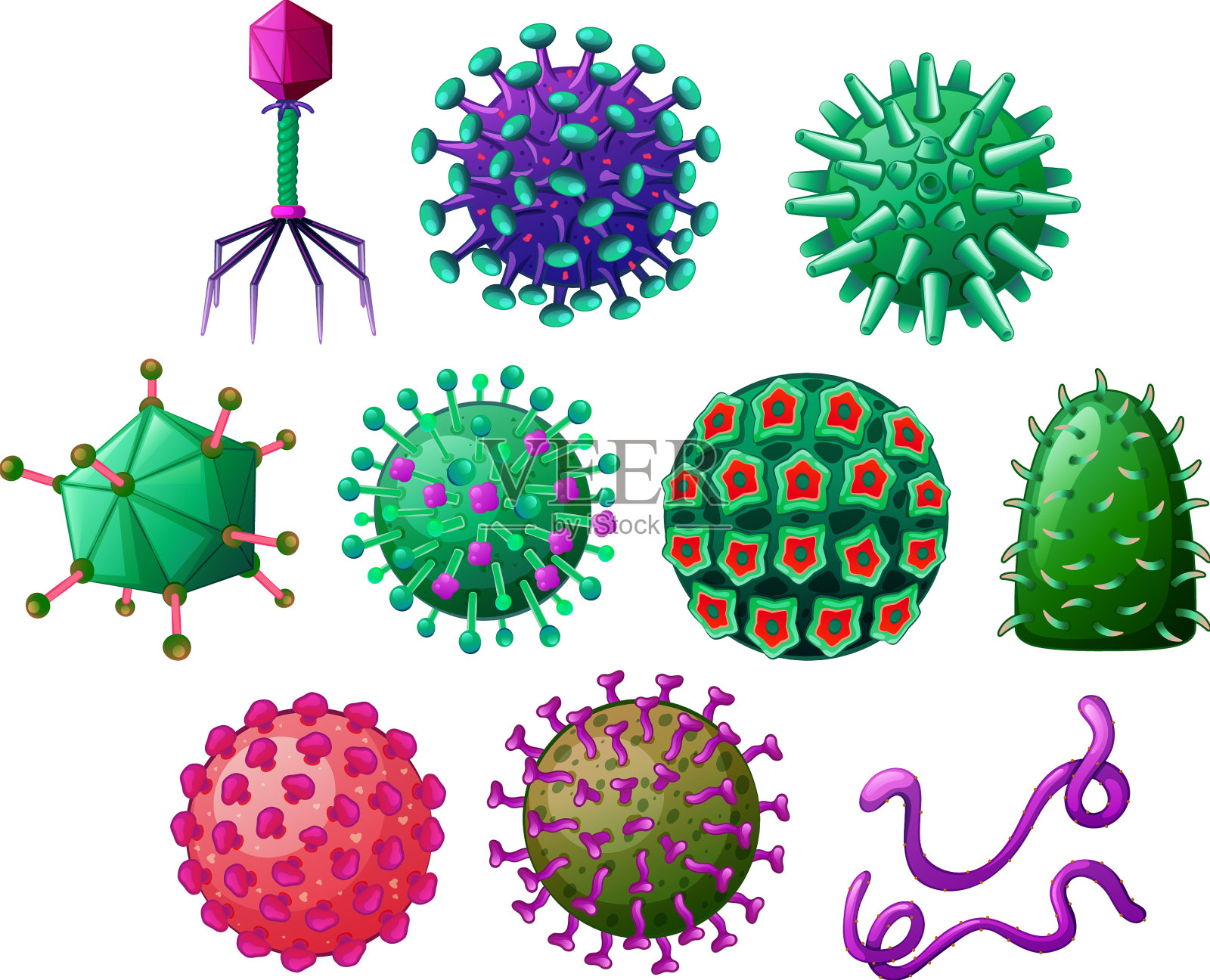 不同形状的病毒插画图片素材
