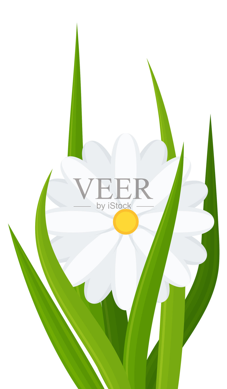 小草郁金香和雏菊绿色的开花草地设计元素图片