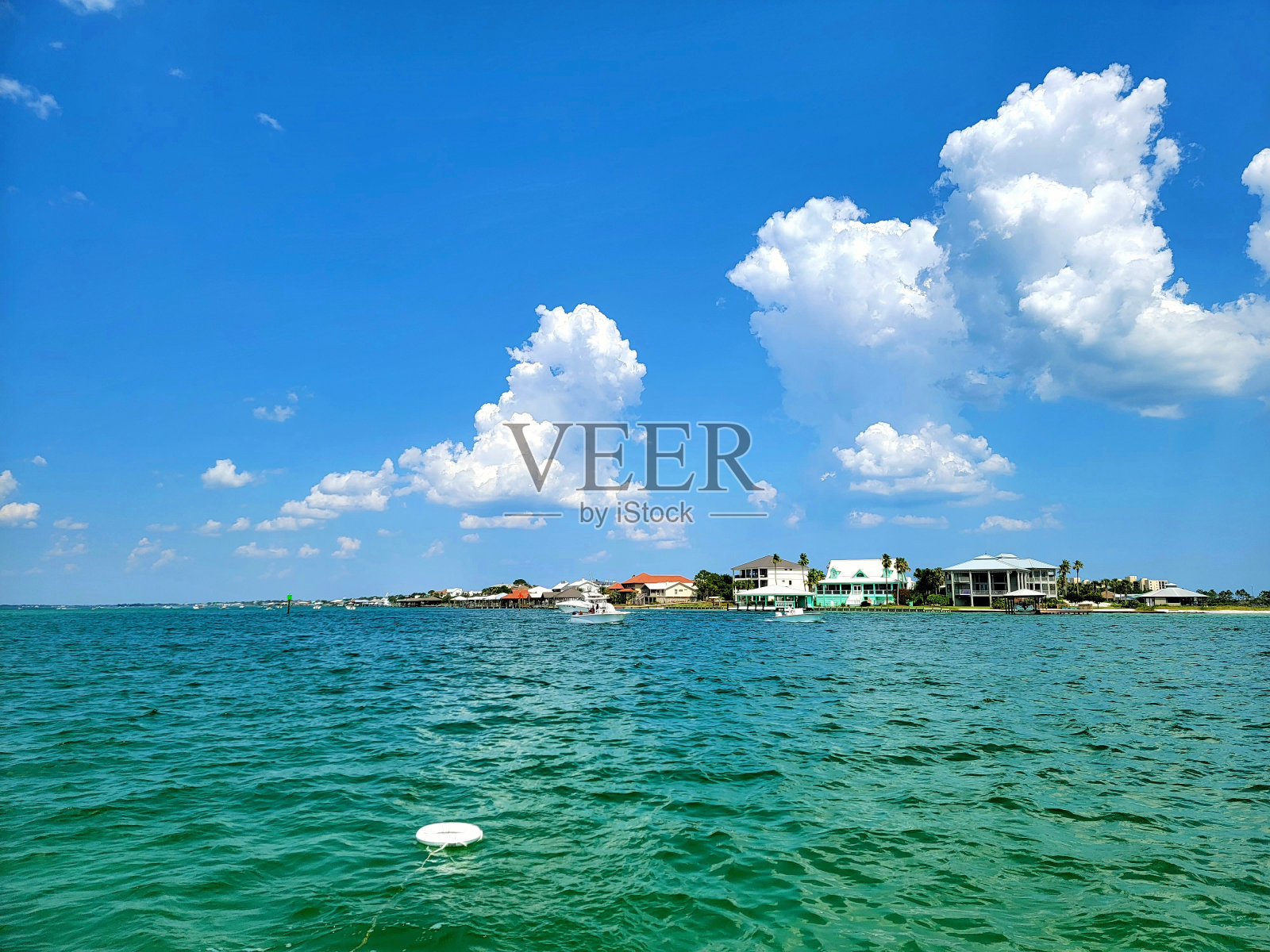 生命环漂浮在晶莹剔透的水中照片摄影图片