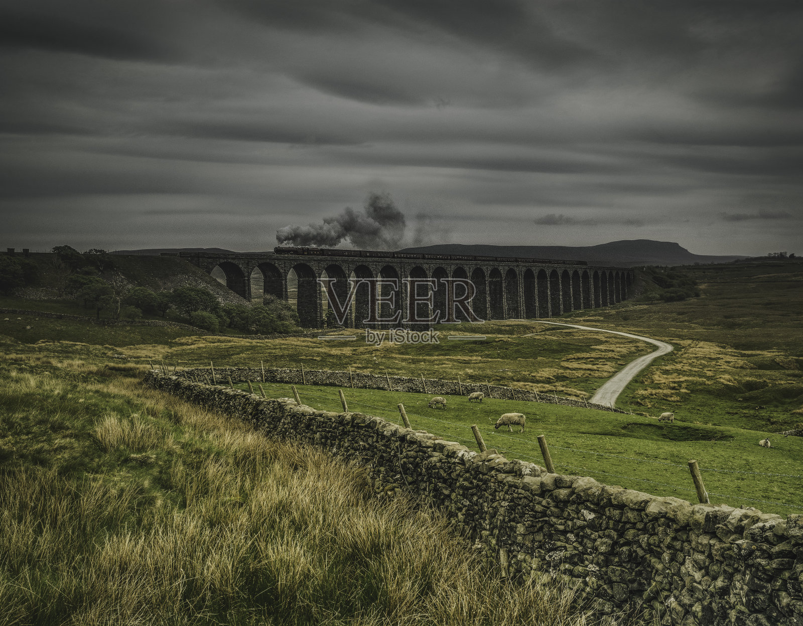 伊丽莎白公主穿过里宾黑德高架桥照片摄影图片