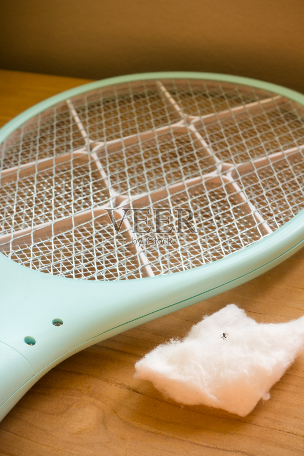 一只死蚊子的特写镜头，带着灭虫的声音照片摄影图片