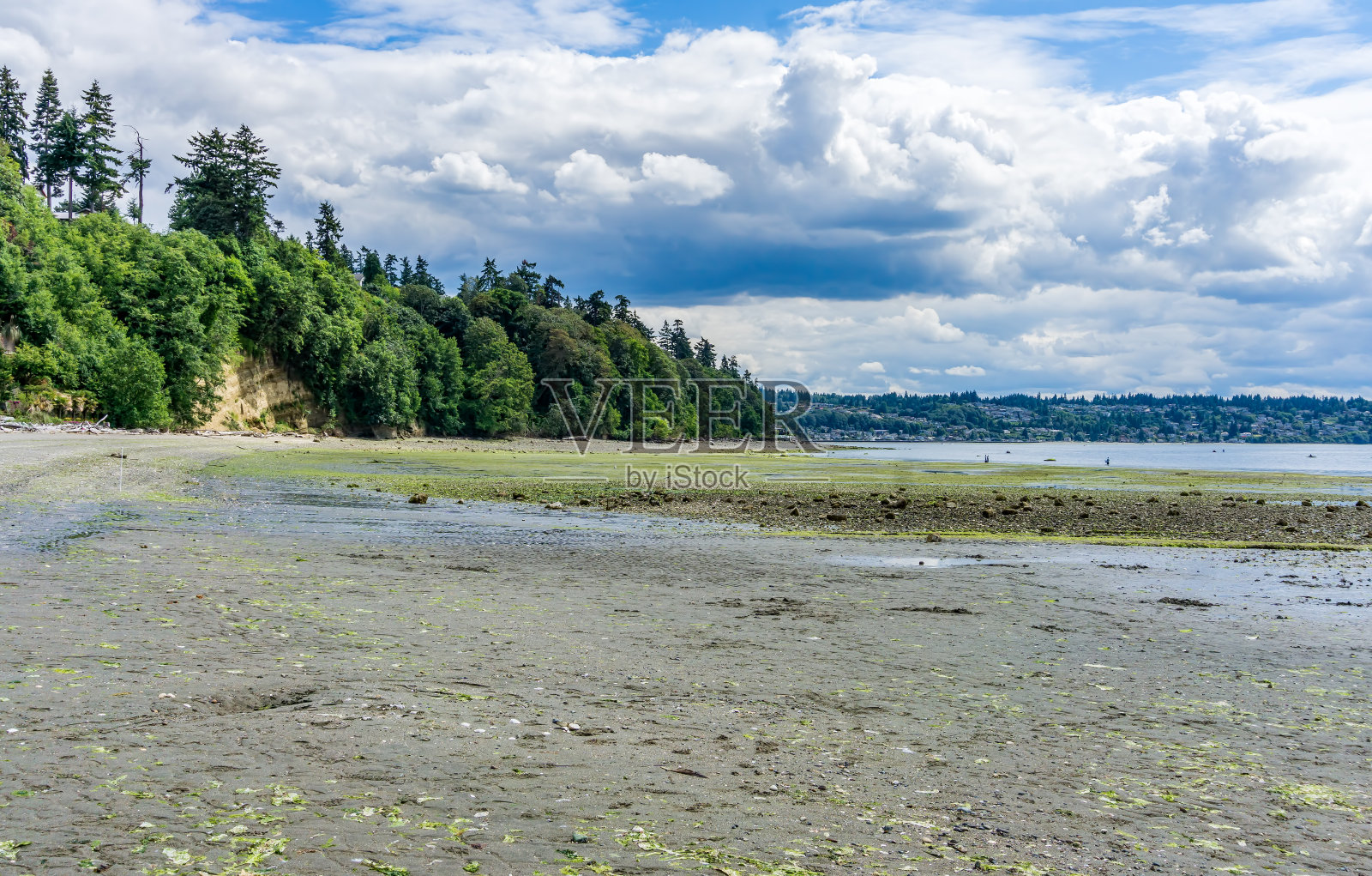 海滩Pak景观照片摄影图片