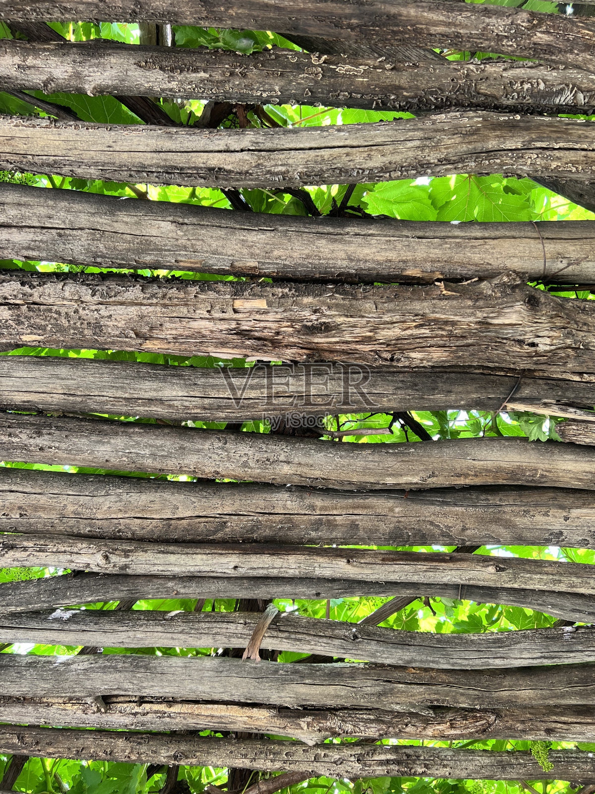 分支机构照片摄影图片