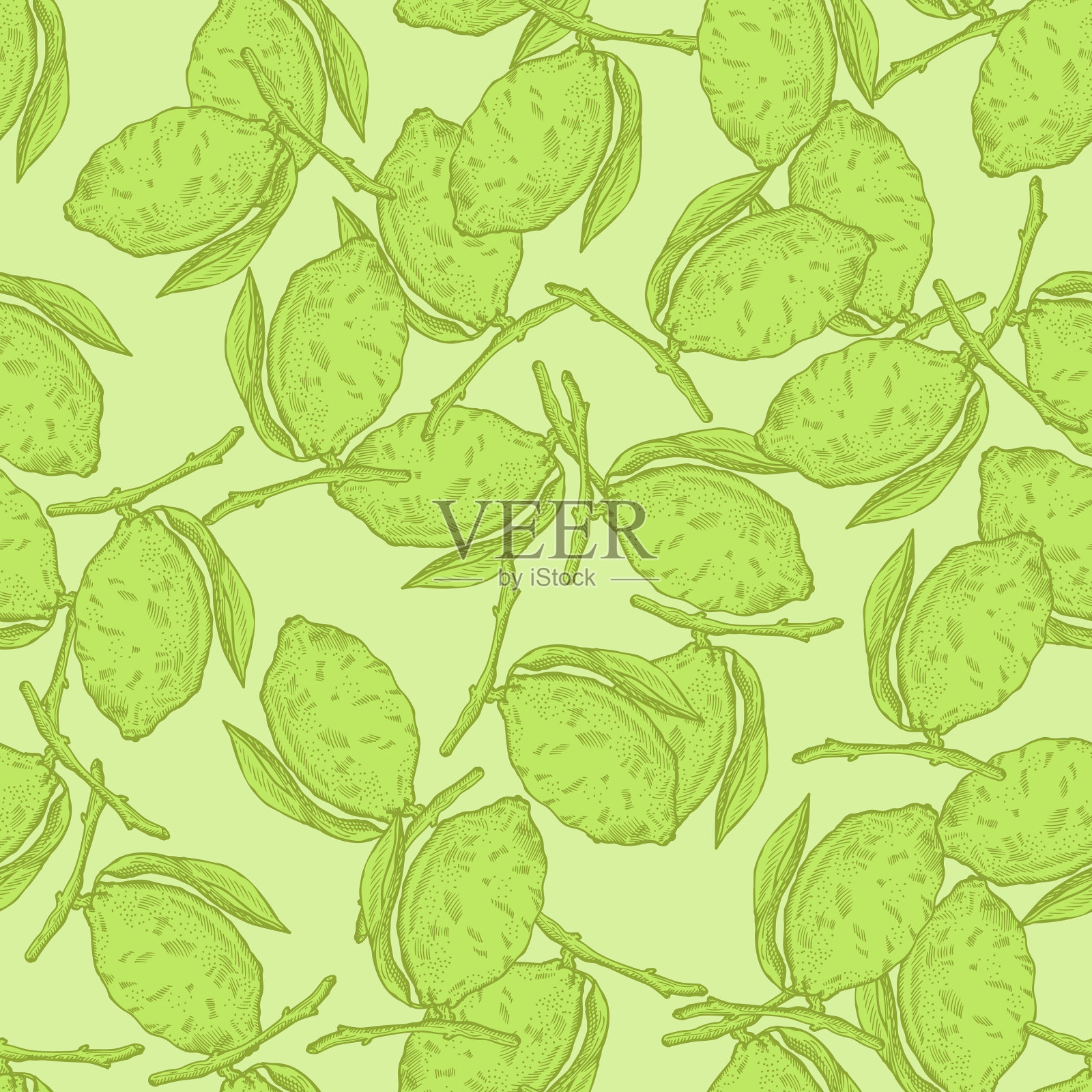 无缝图案柠檬树枝上的叶子插画图片素材