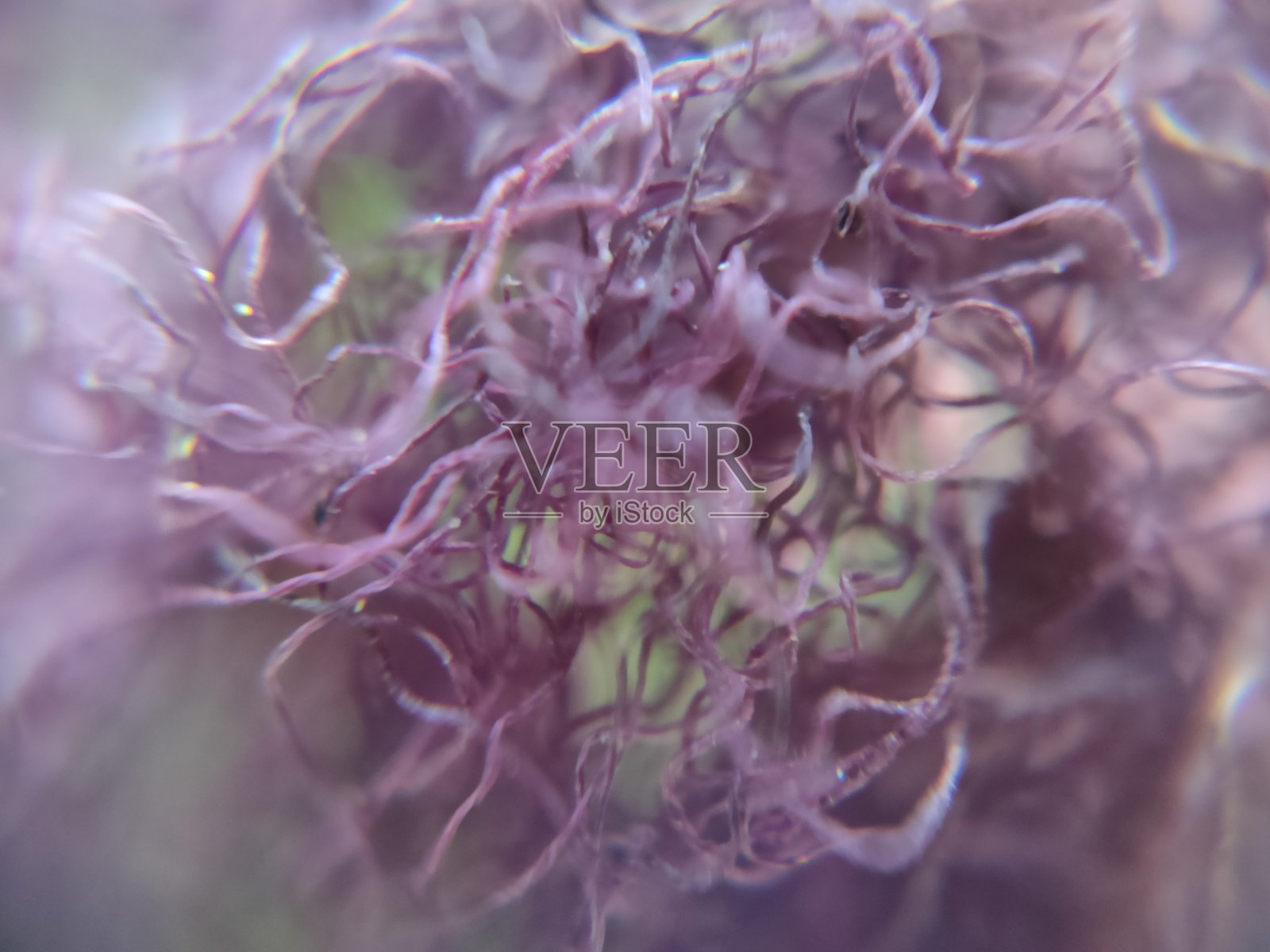 散焦杂乱的抽象背景照片摄影图片