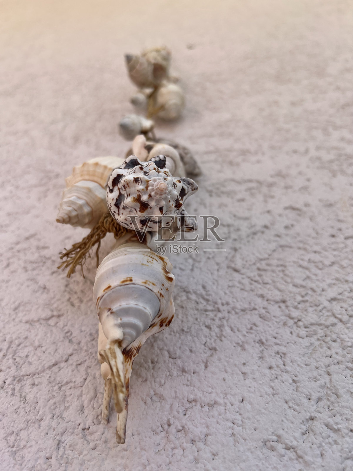 贻贝、鲍鱼,尖塔照片摄影图片