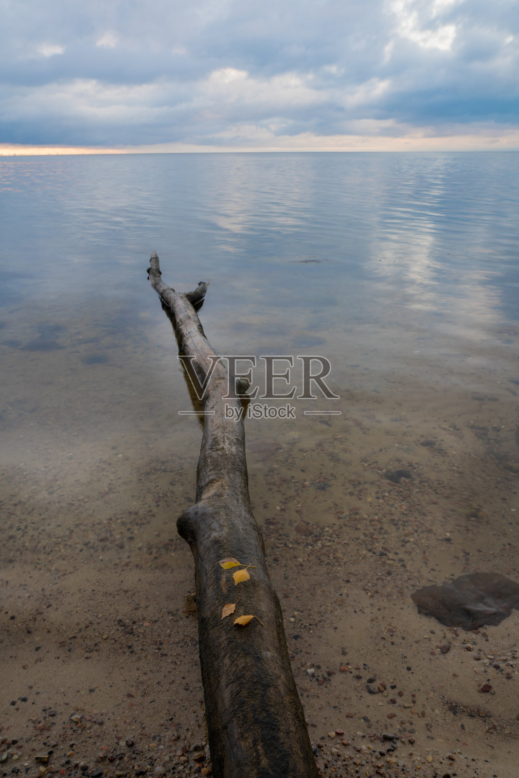 波罗的海岸边的海景。照片摄影图片