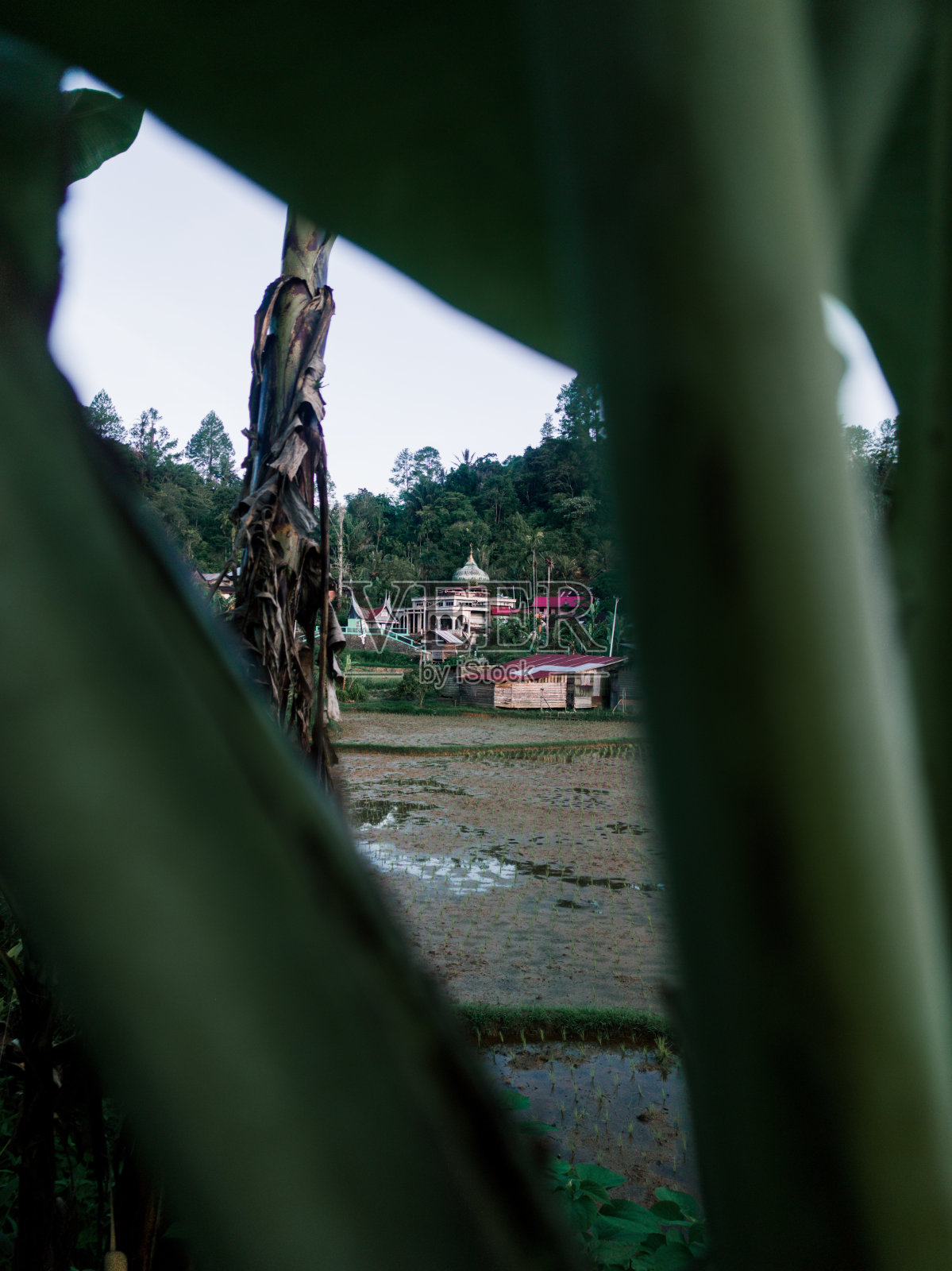清真寺在一个相当小的村庄里照片摄影图片