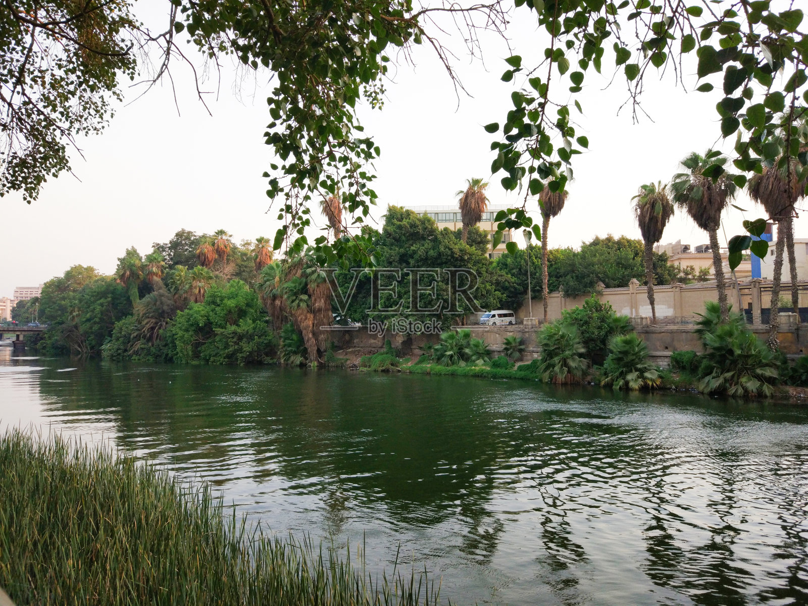 埃及开罗尼罗河畔风光照片摄影图片