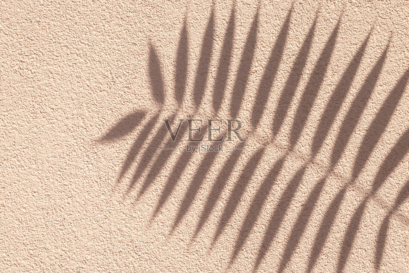 热带棕榈枝与阴影在米色垃圾水泥墙，棕色奶油黏土自然纹理。抽象的背景。副本的空间。夏日壁纸，极简概念。模板与美丽装饰，海滩。照片摄影图片