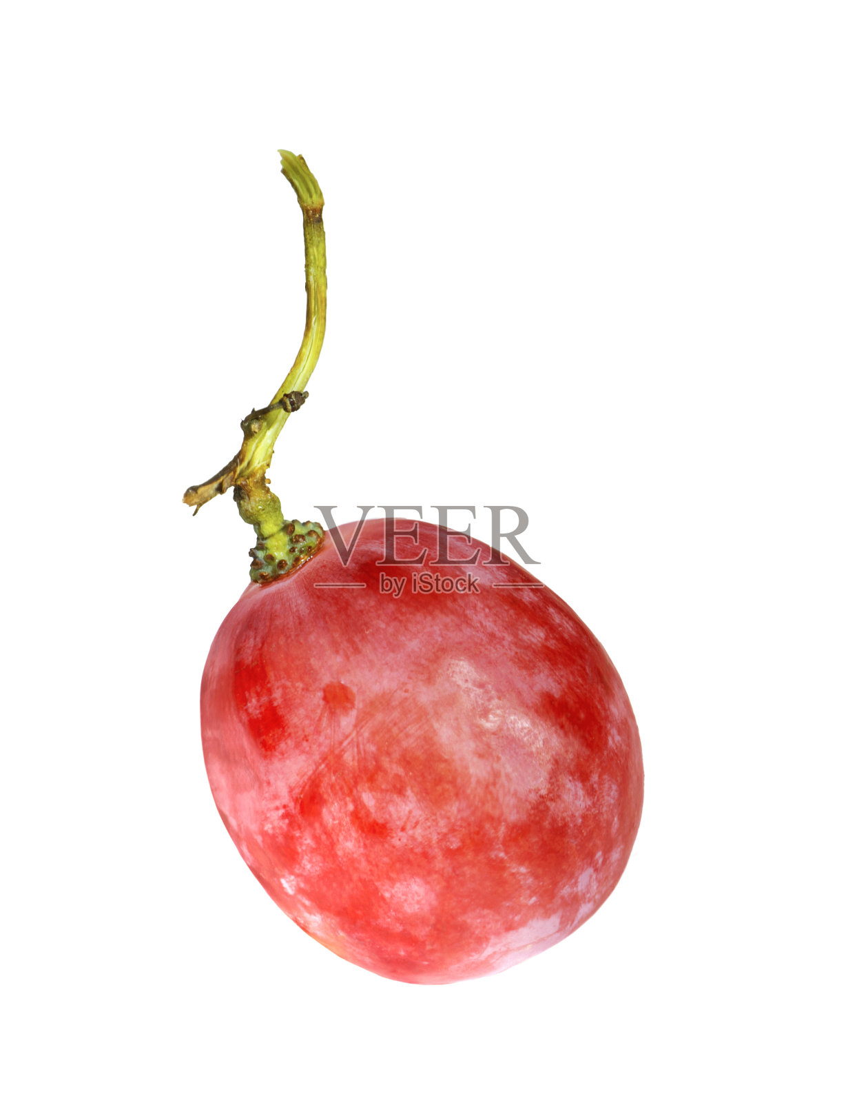 一个葡萄浆果孤立在白色背景。照片摄影图片