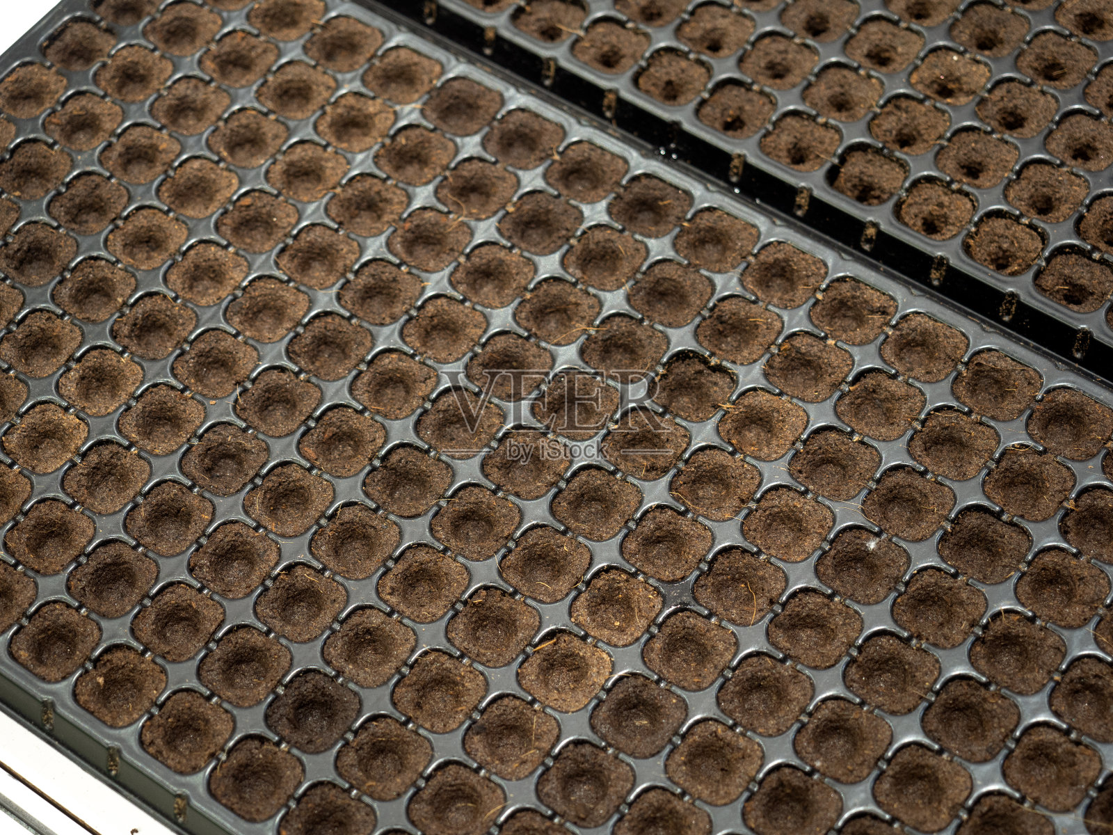 农业苗圃托盘照片摄影图片