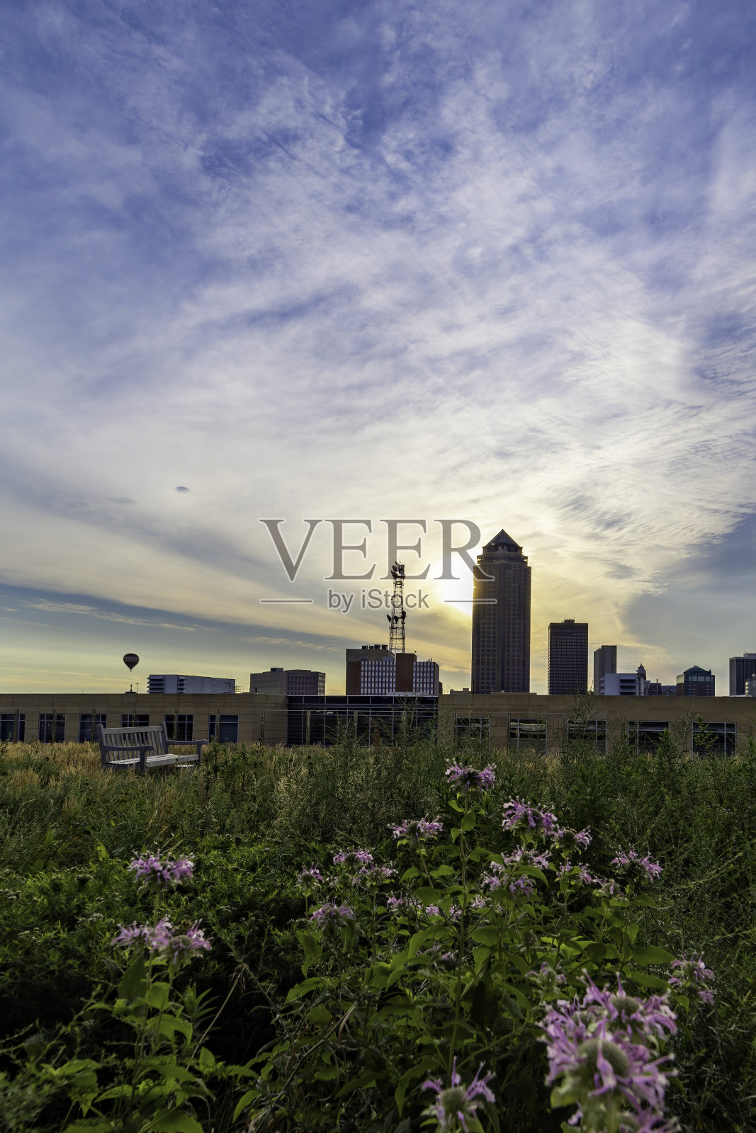 气球日出照片摄影图片