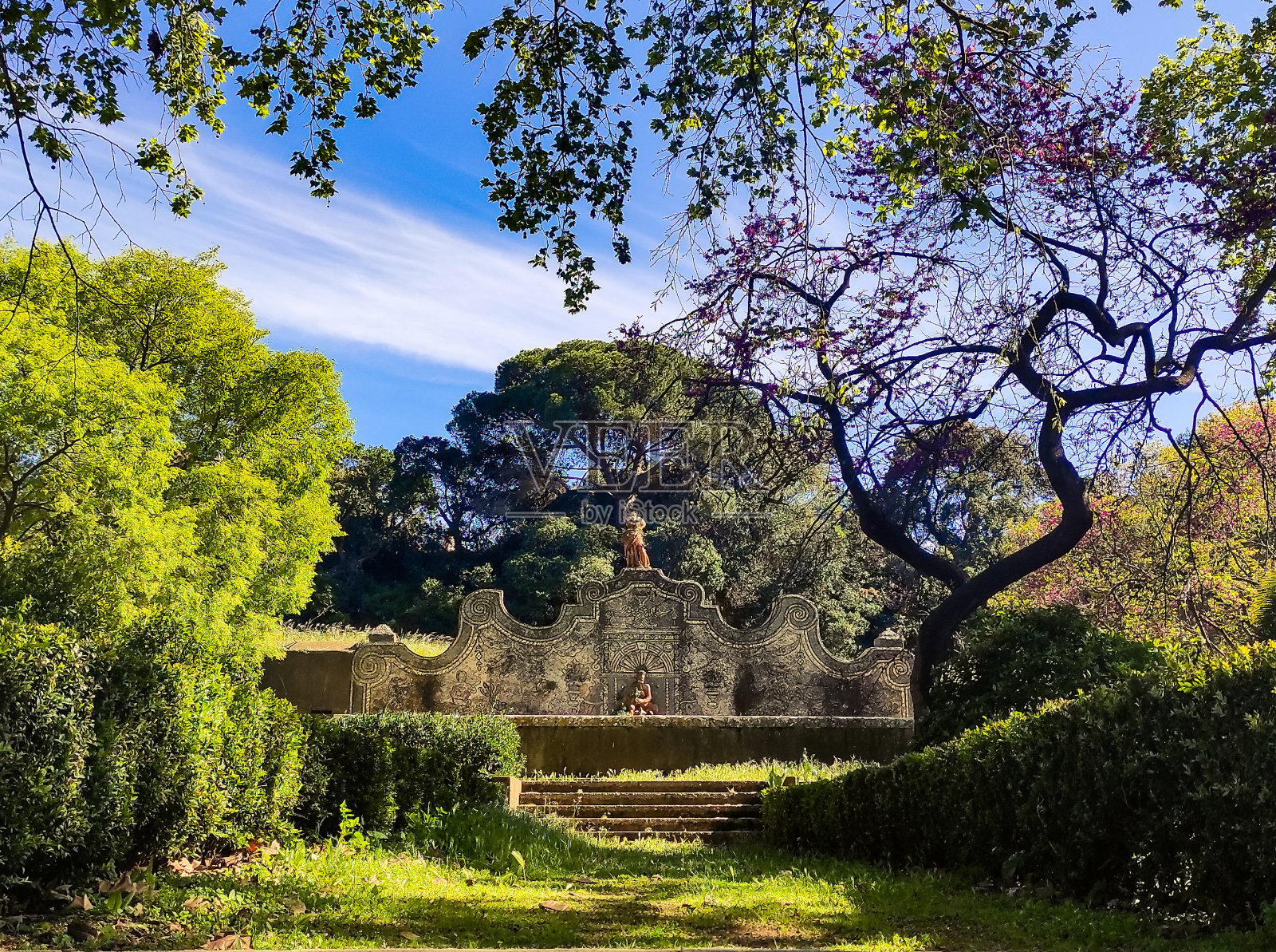 树木和建筑物仰天俯视照片摄影图片