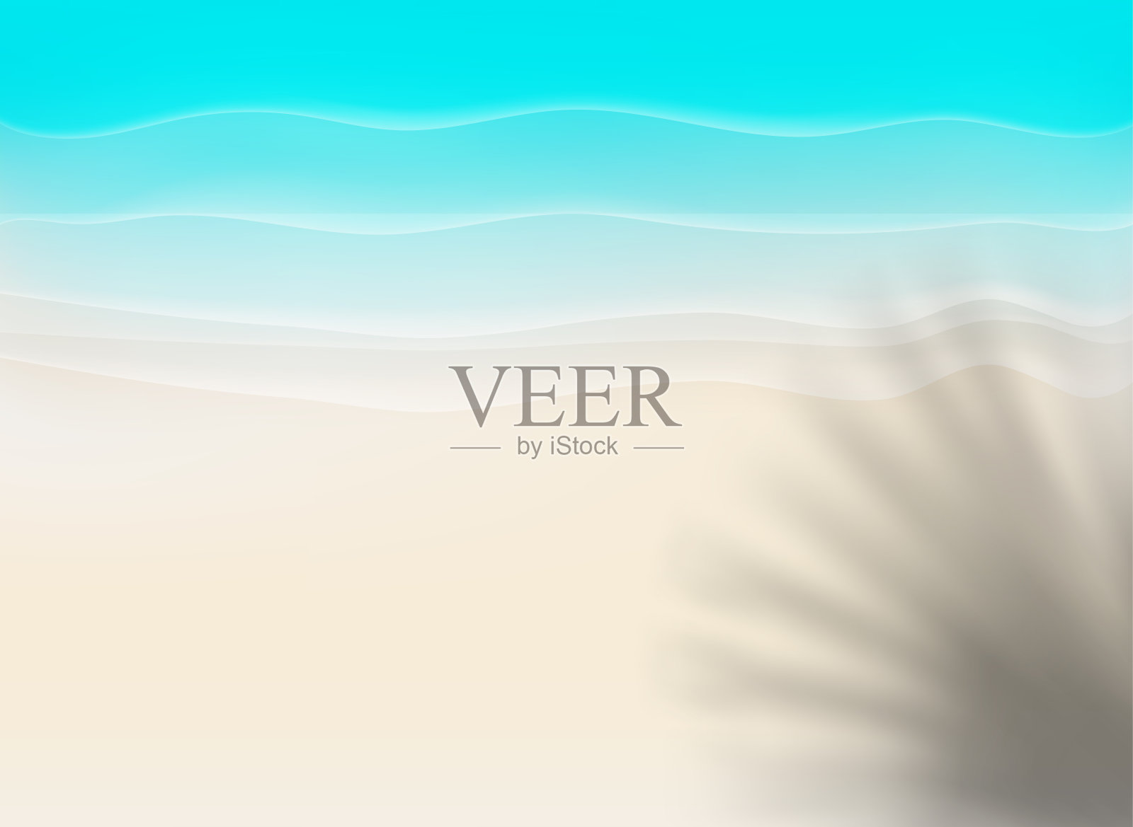 有热带树叶阴影的海边插画图片素材