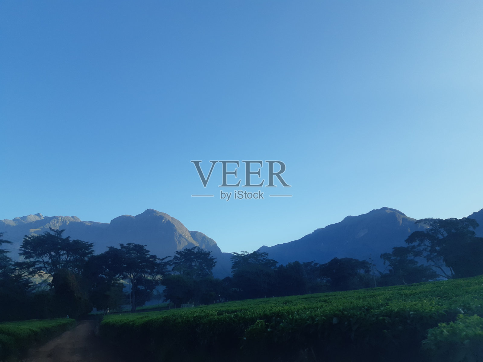 美丽的穆兰杰照片摄影图片