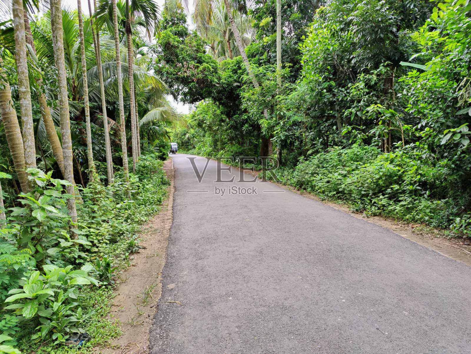 村庄里美丽的小路照片摄影图片