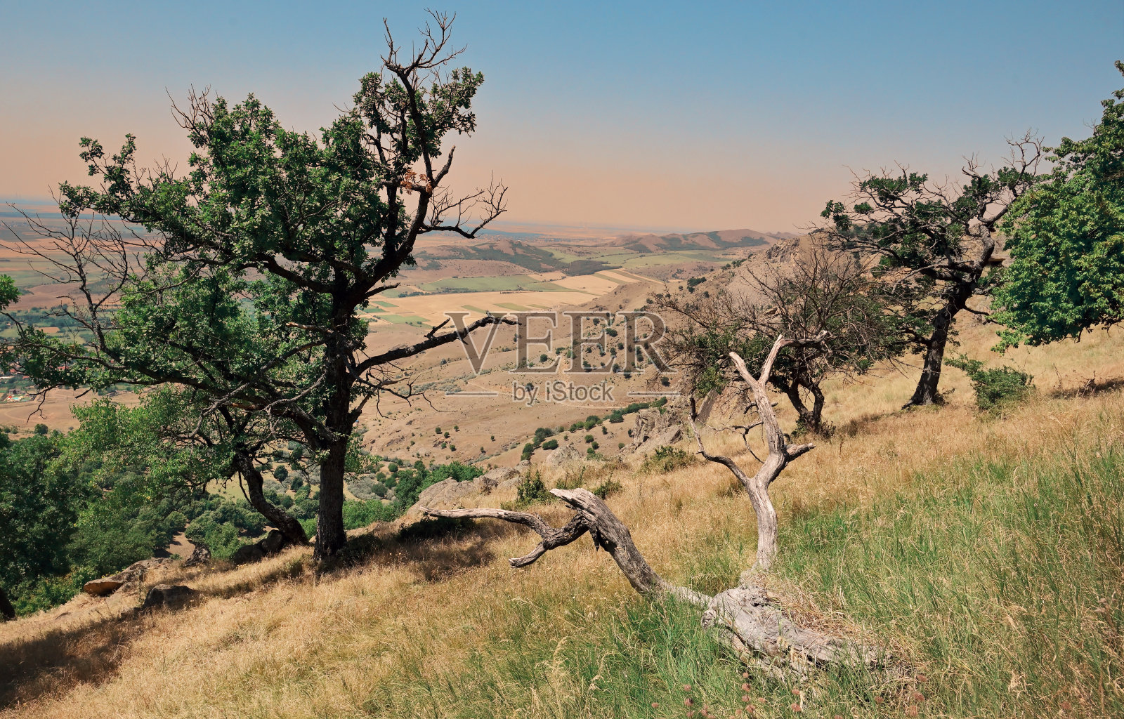 Macin山脉。罗马尼亚最古老的山脉照片摄影图片