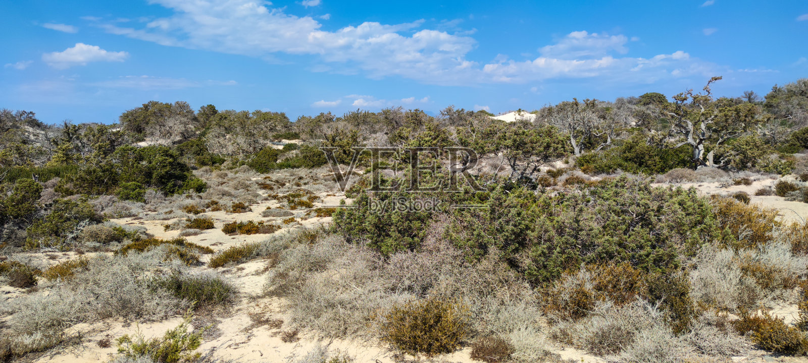 岛上的沙漠景观照片摄影图片