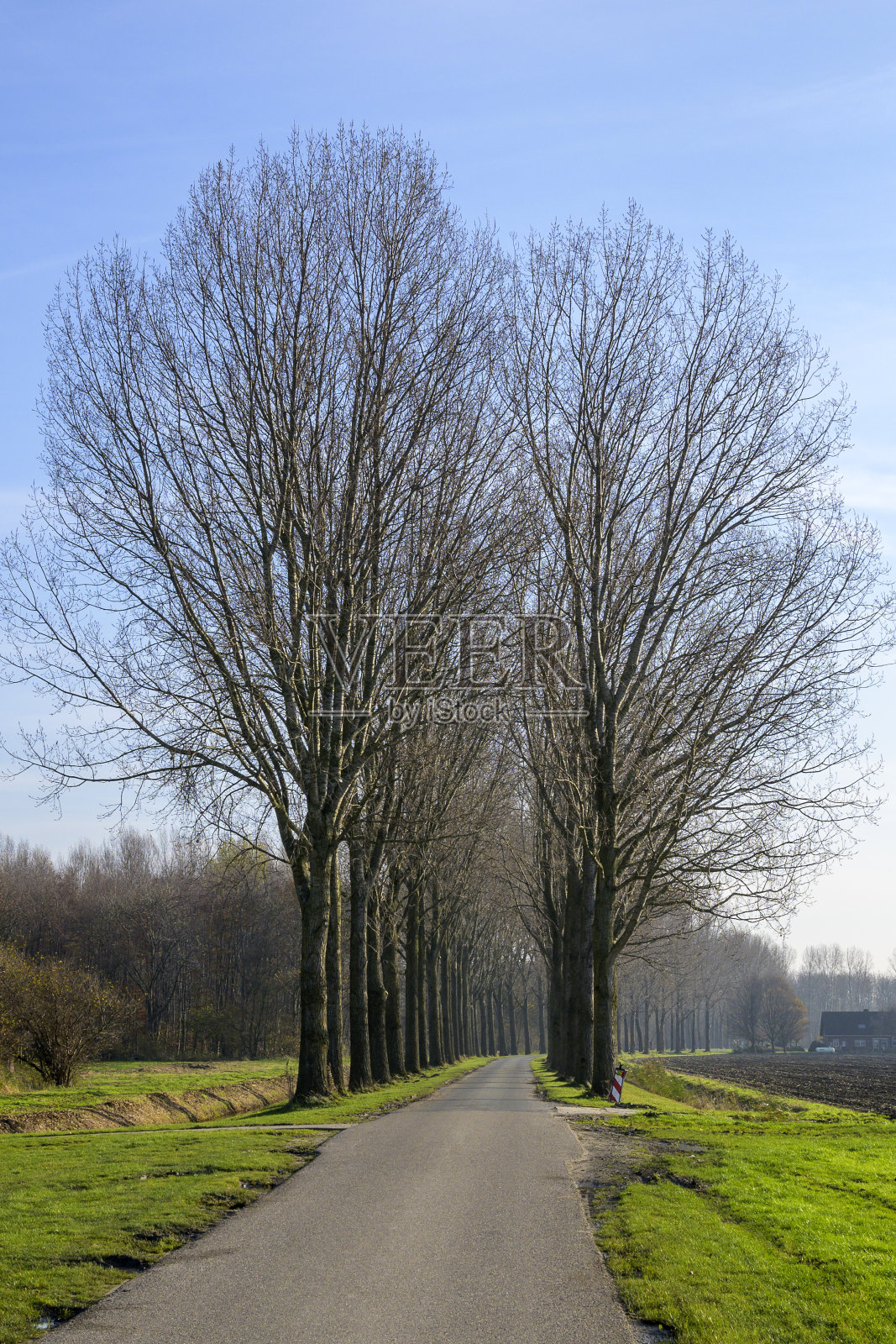 农业路照片摄影图片