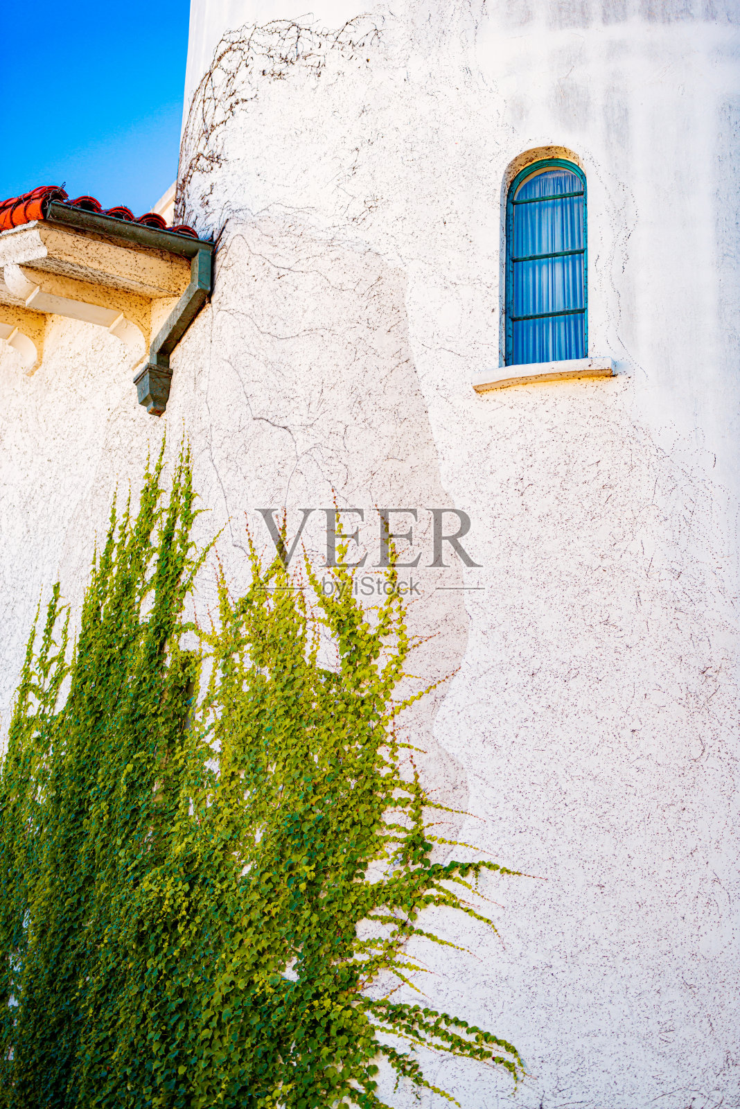 绿色植物攀爬水平壁照片摄影图片